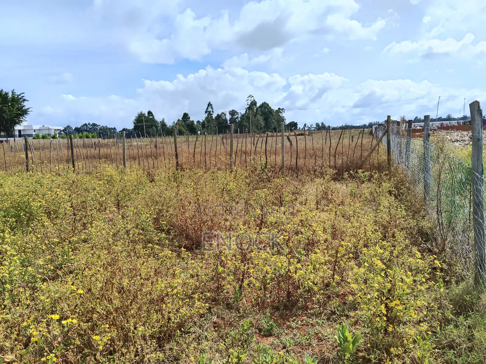Eldoret Chepkanga Prime Plot Chemaluk