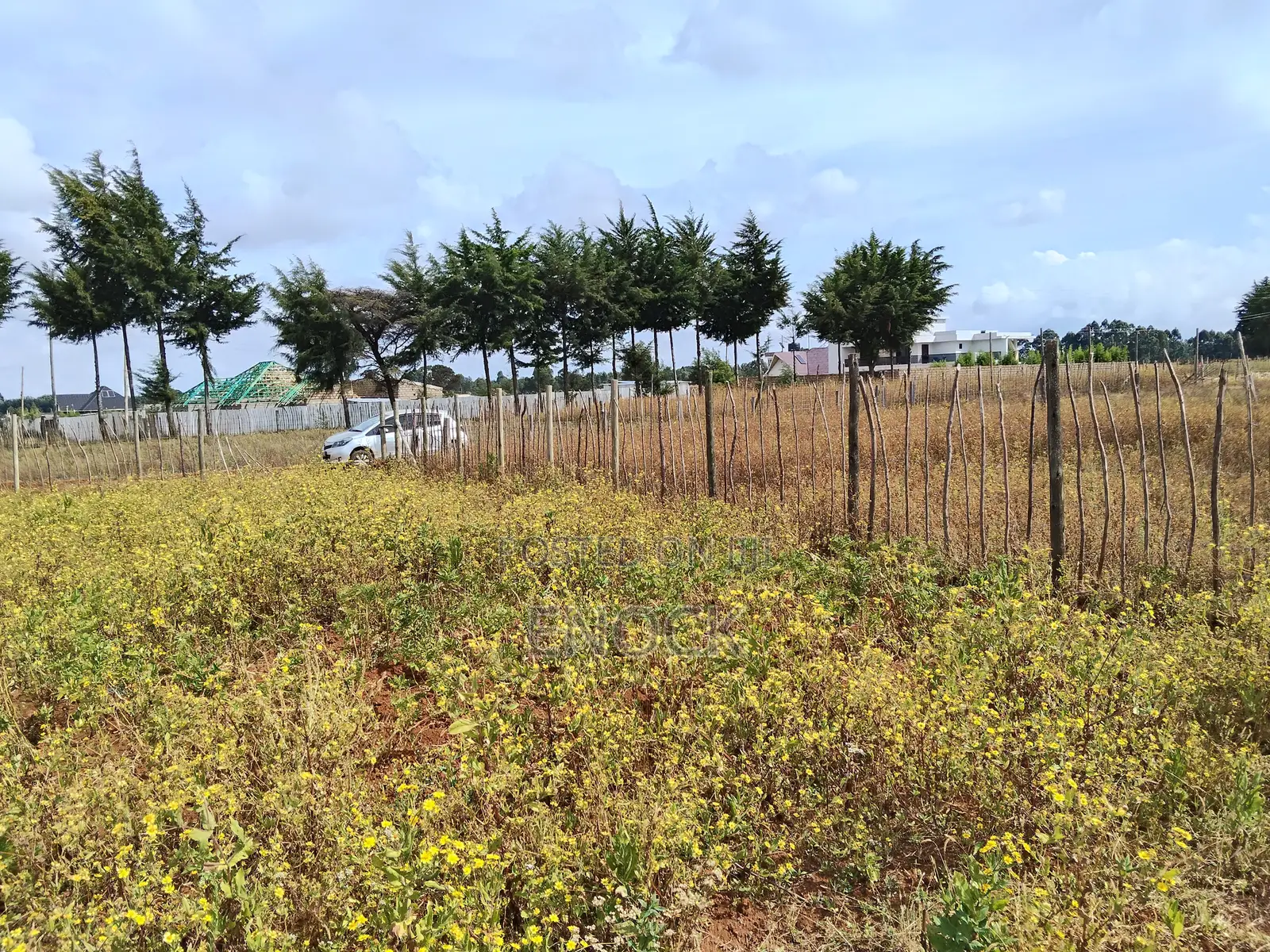 Eldoret Chepkanga Prime Plot Chemaluk