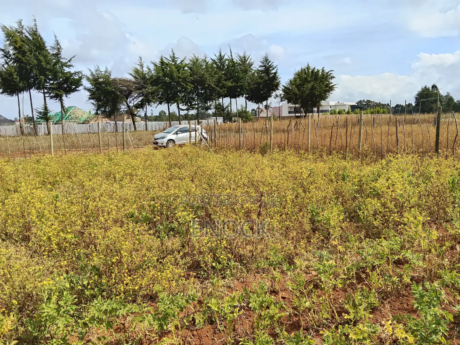 Eldoret Chepkanga Prime Plot Chemaluk