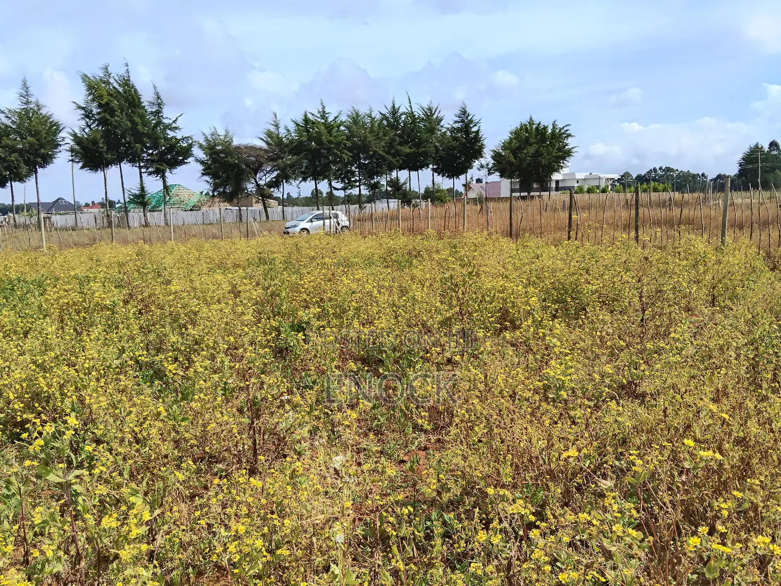Eldoret Chepkanga Prime Plot Chemaluk