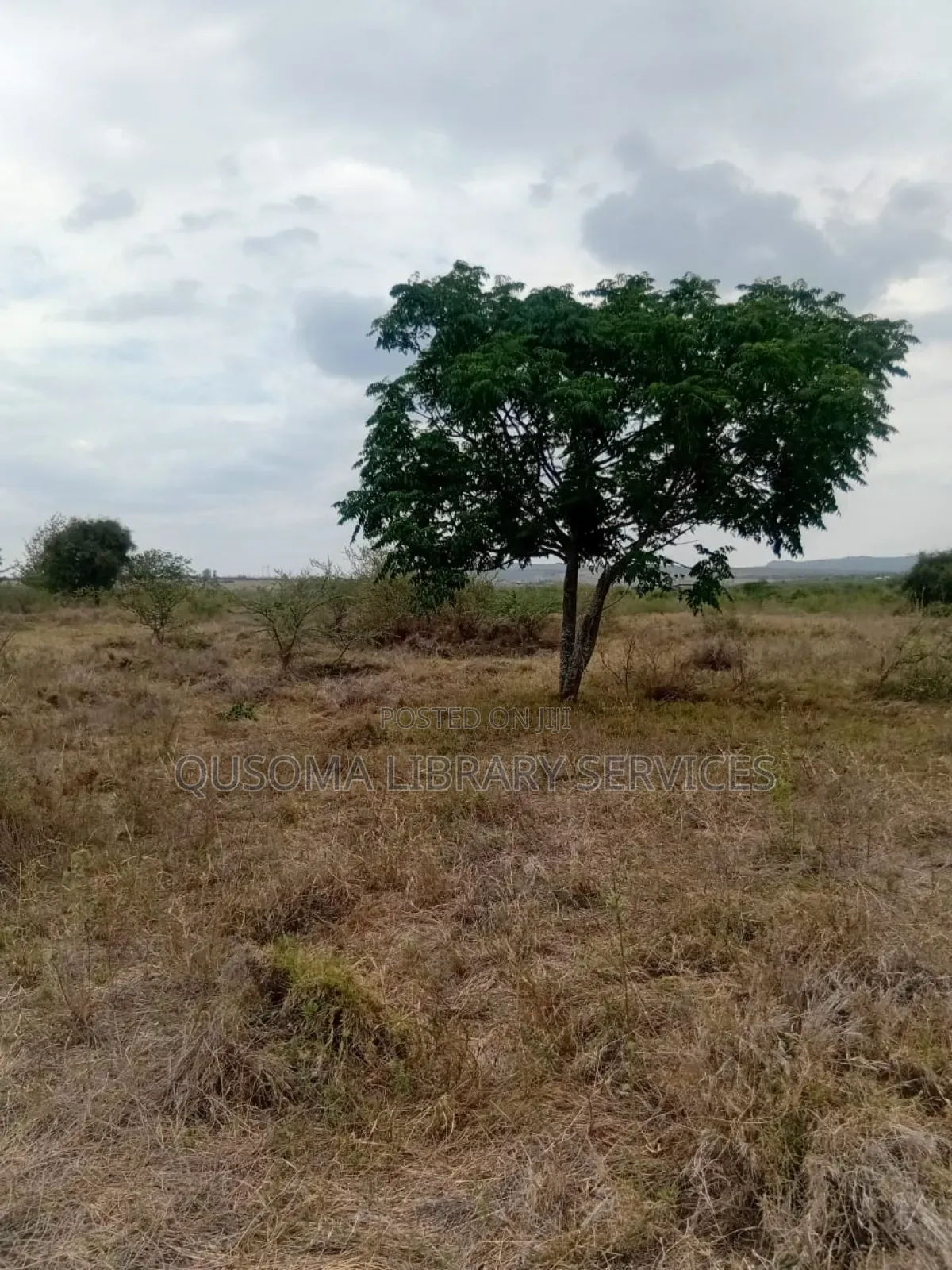 Best Deal Ever. 23 Plots at Kinanie, Machakos, Own Your Future Today