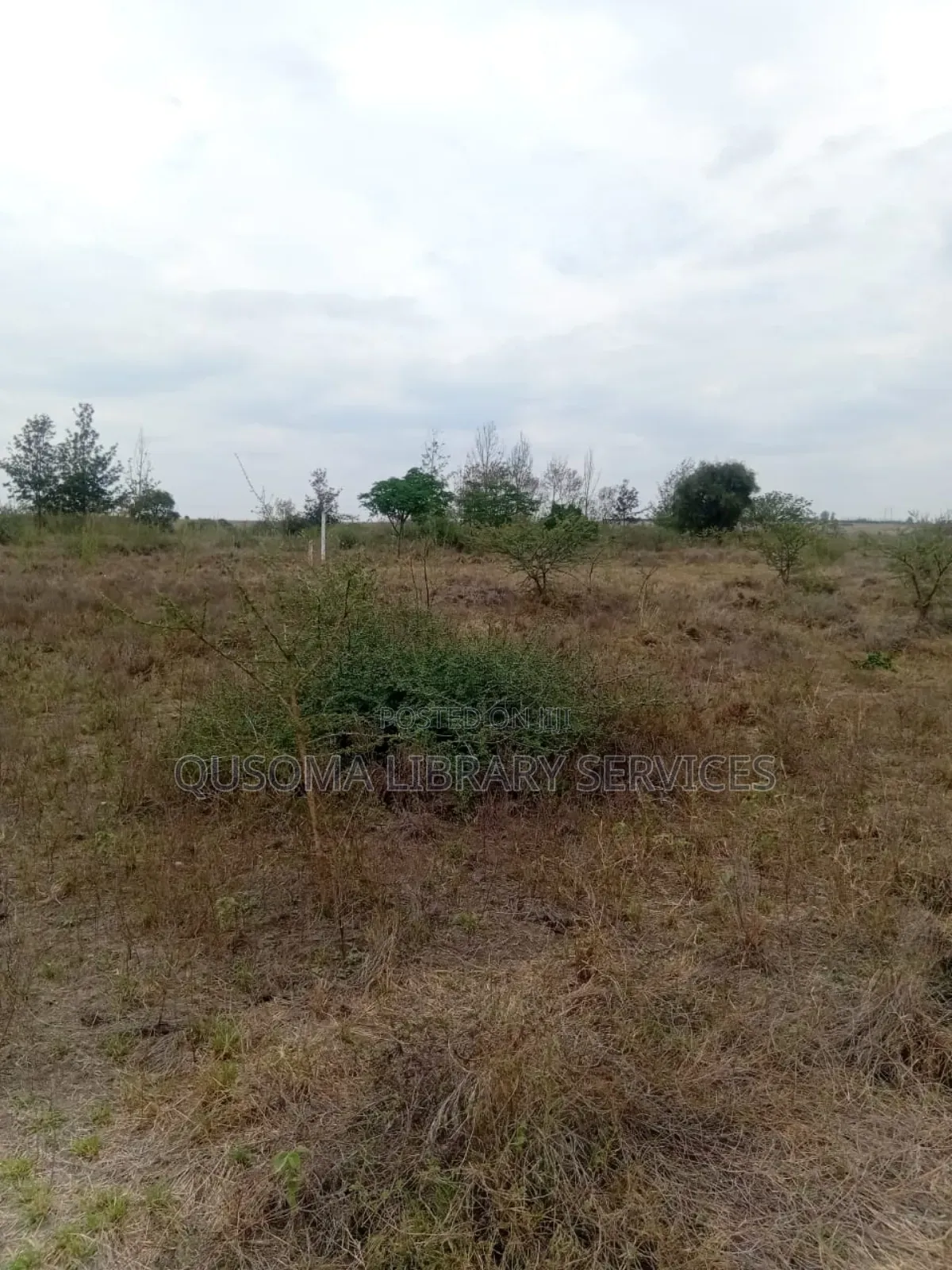 Best Deal Ever. 23 Plots at Kinanie, Machakos, Own Your Future Today