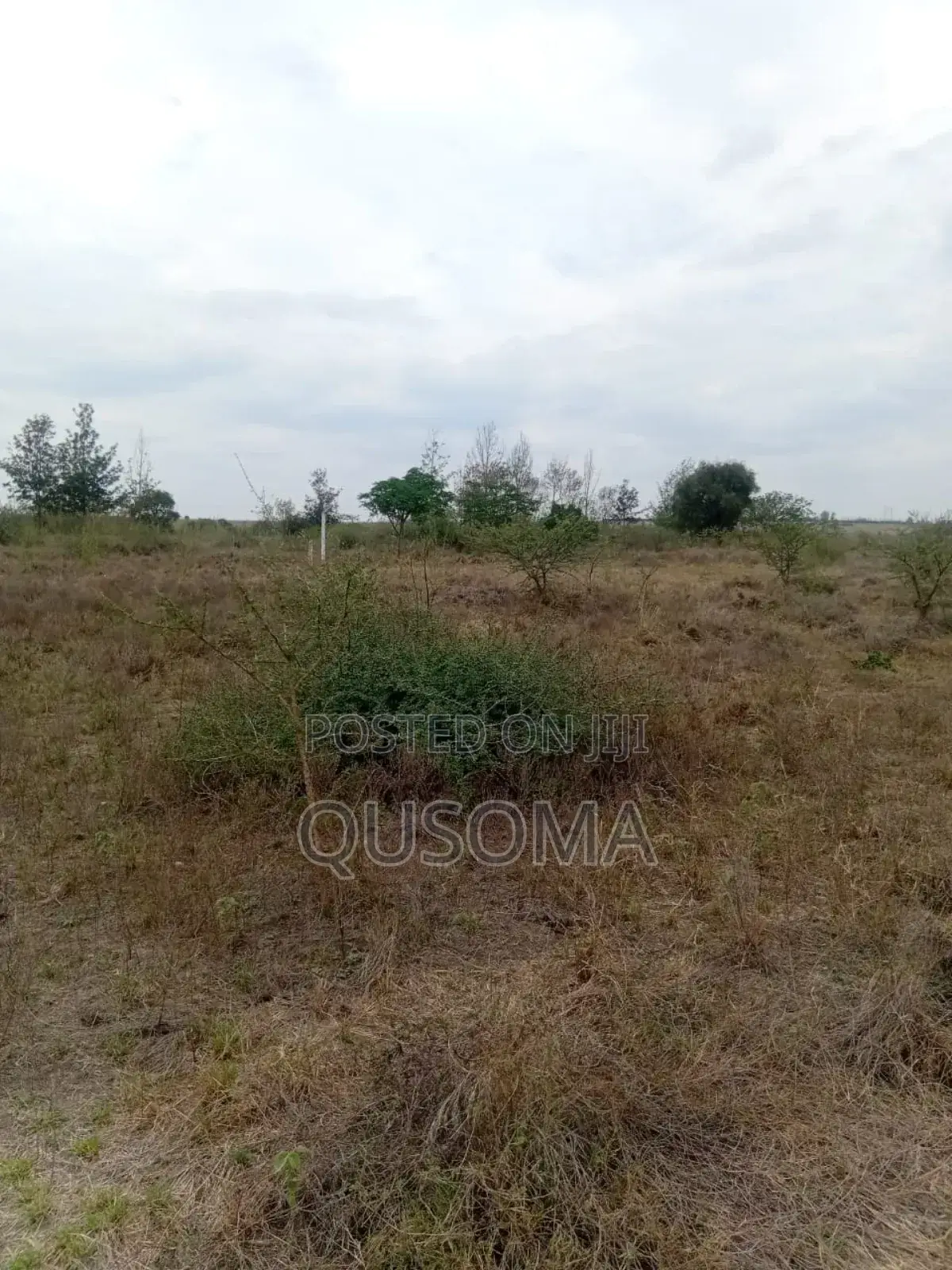 Best Deal Ever. 23 Plots at Kinanie, Machakos, Own Your Future Today