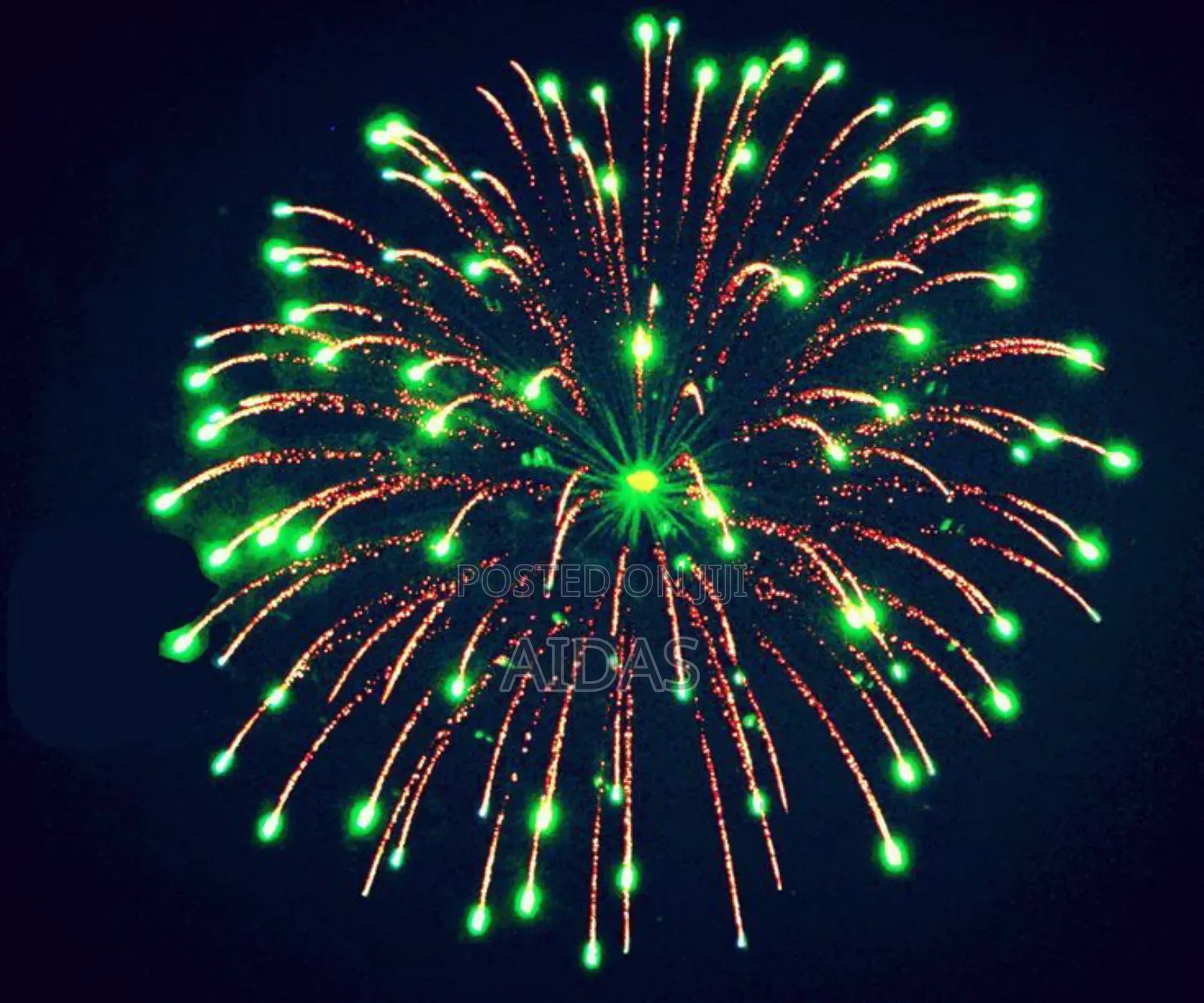  Mantis Fury – 47 Shots Fireworks 
