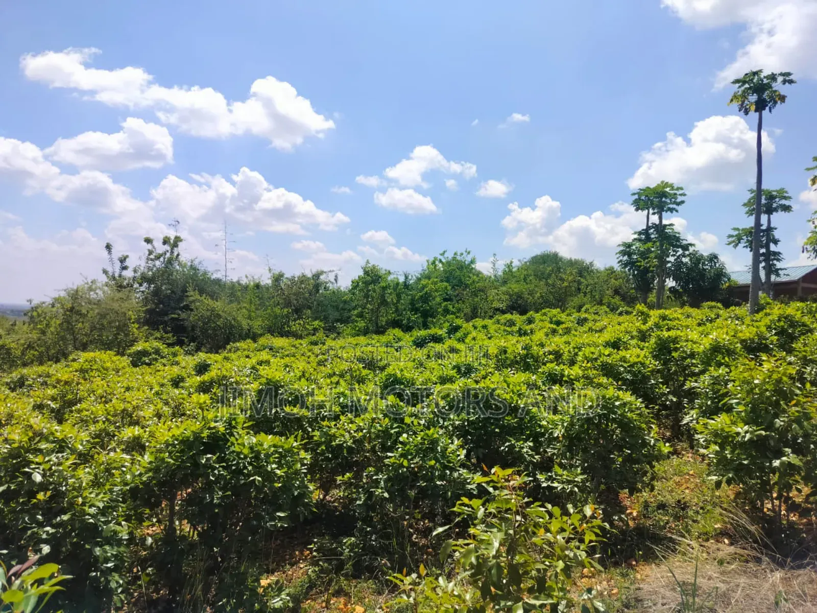Half Acre in Gachoka, Embu.