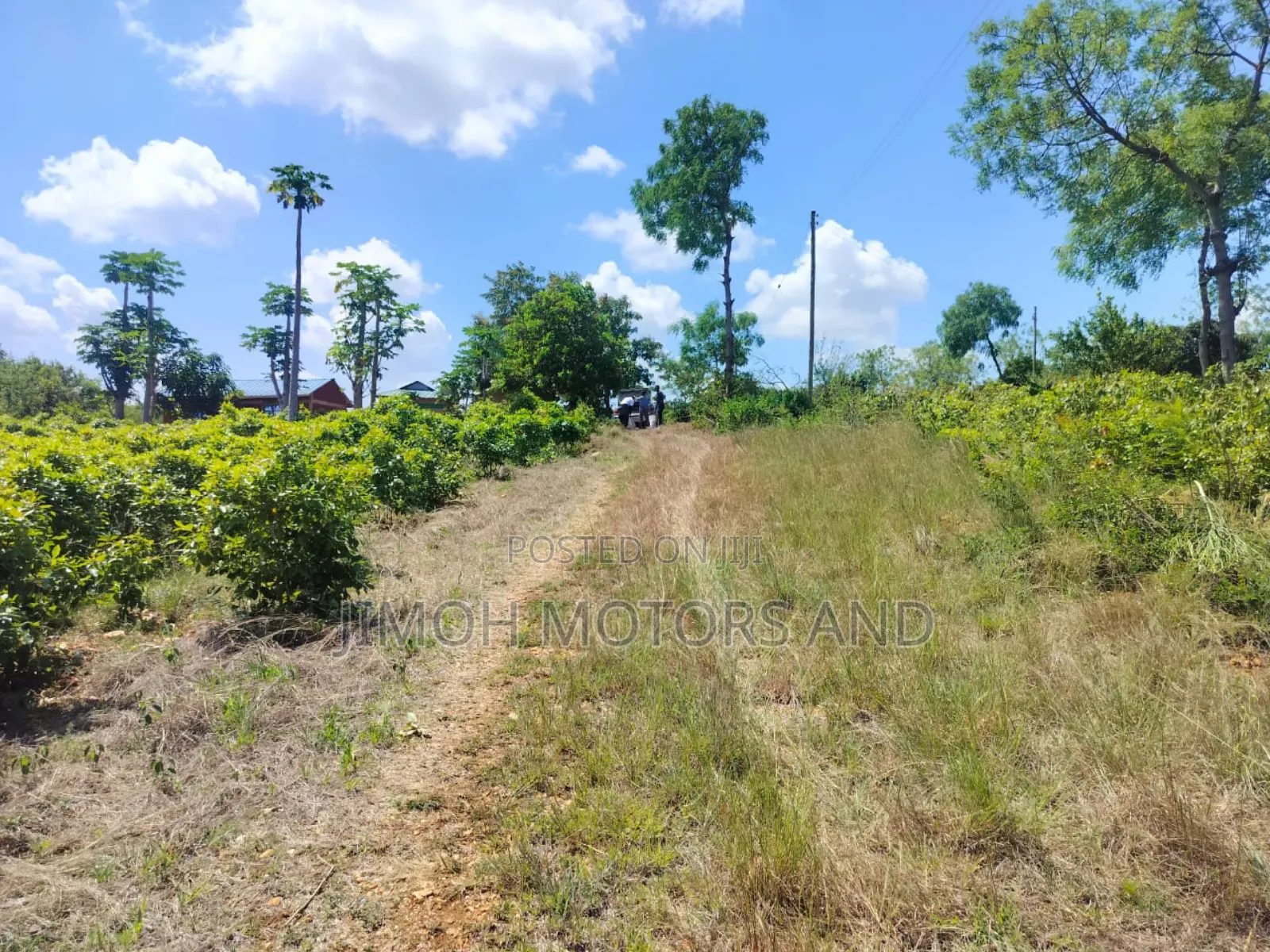 Half Acre in Gachoka, Embu.