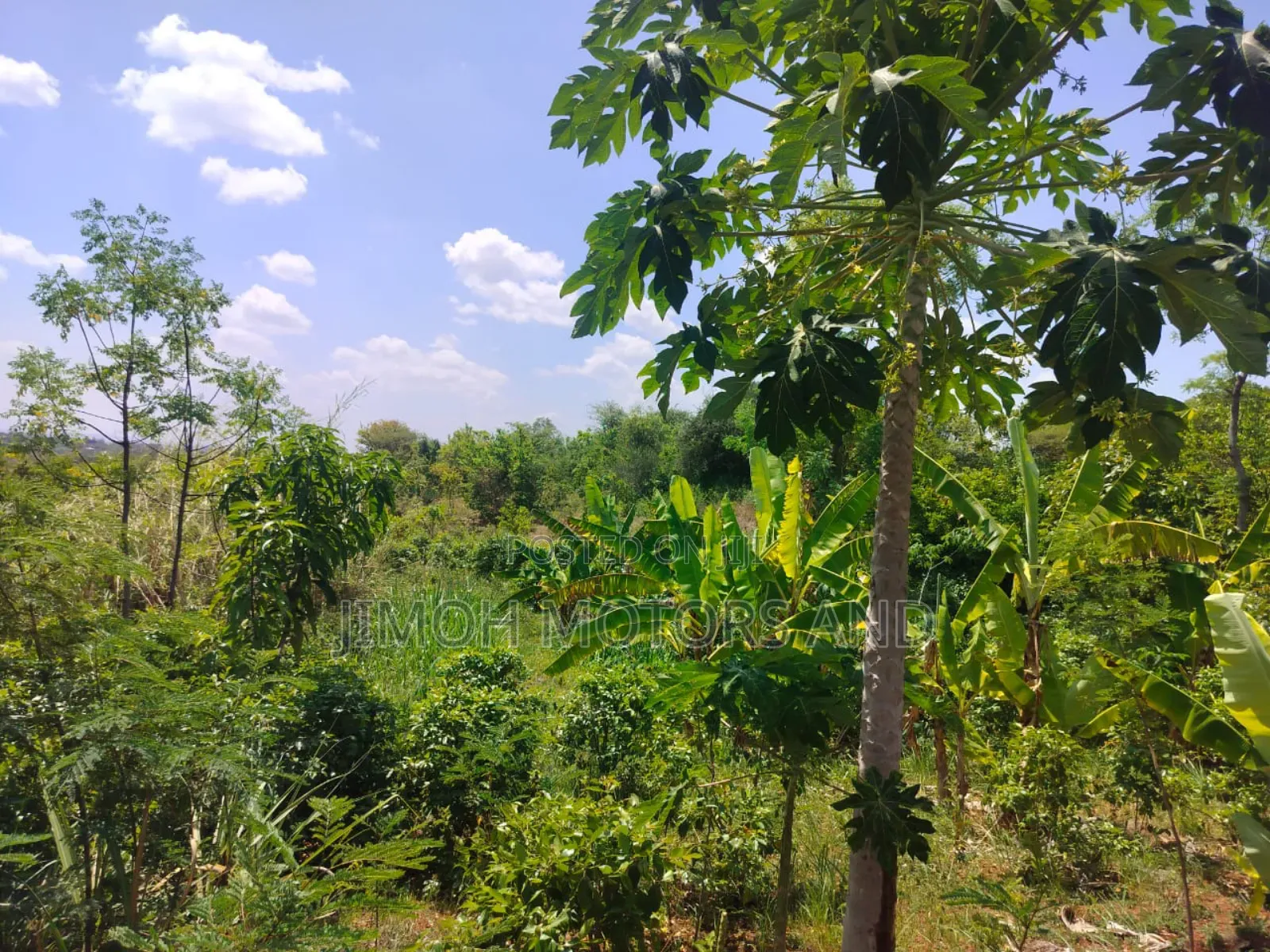 Half Acre in Gachoka, Embu.
