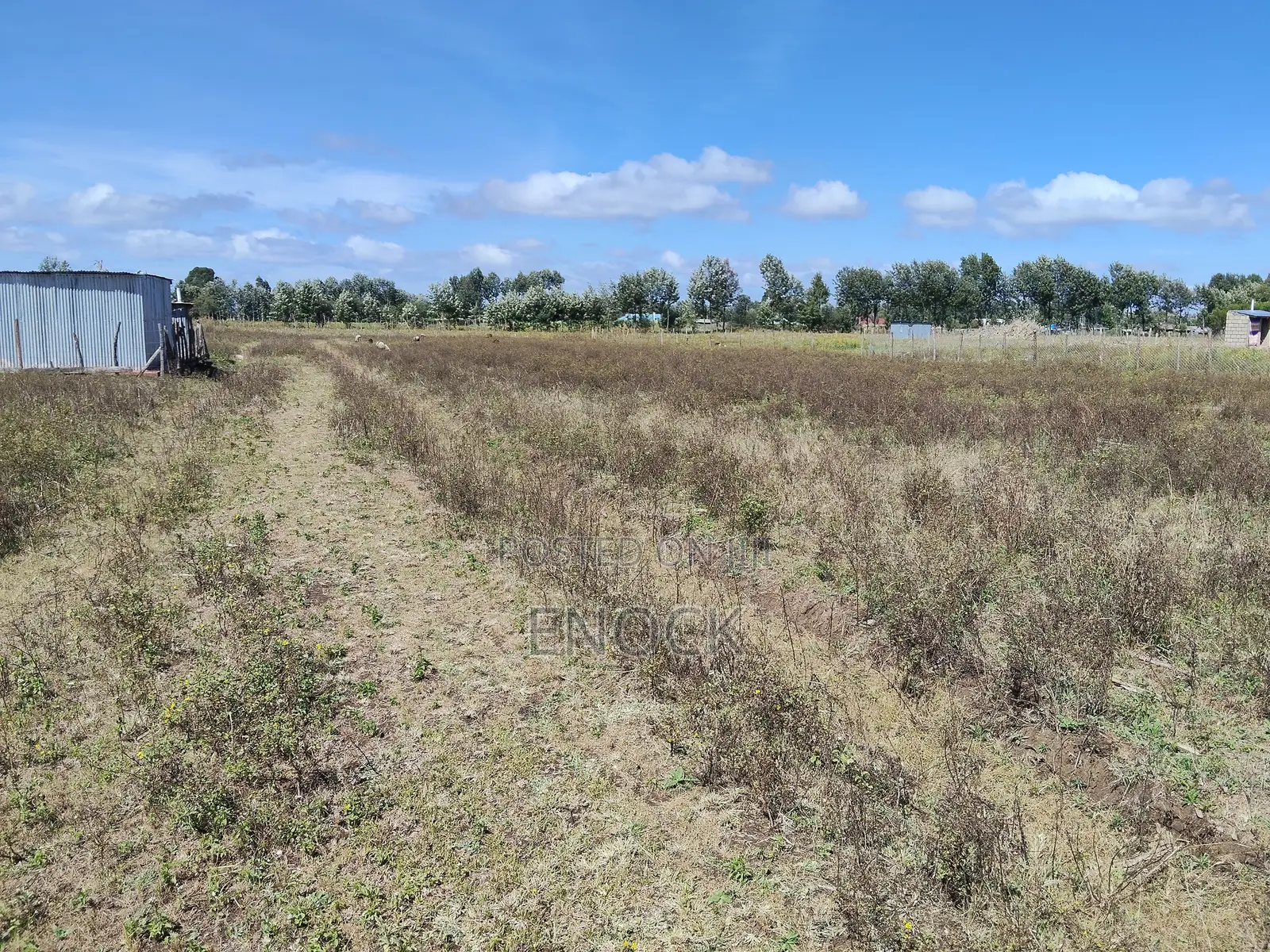 Chepkanga Plots Eldoret Near Centre