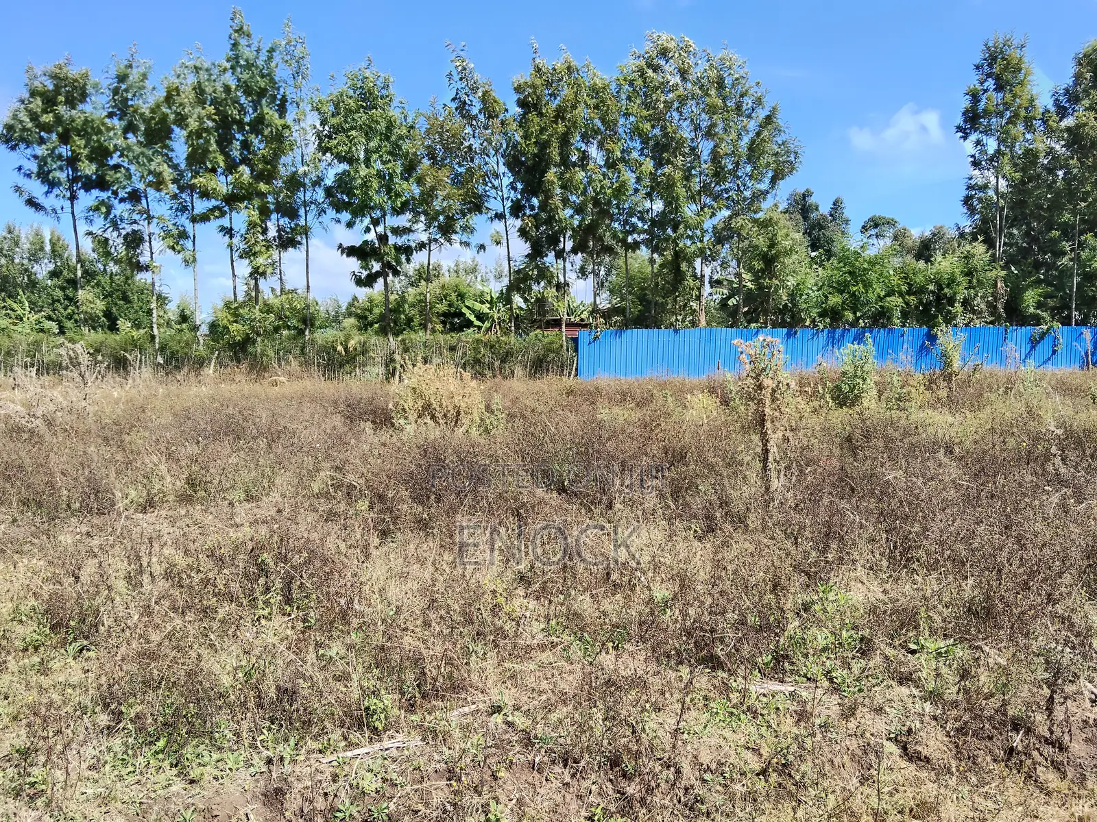 Chepkanga Plots Eldoret Near Centre