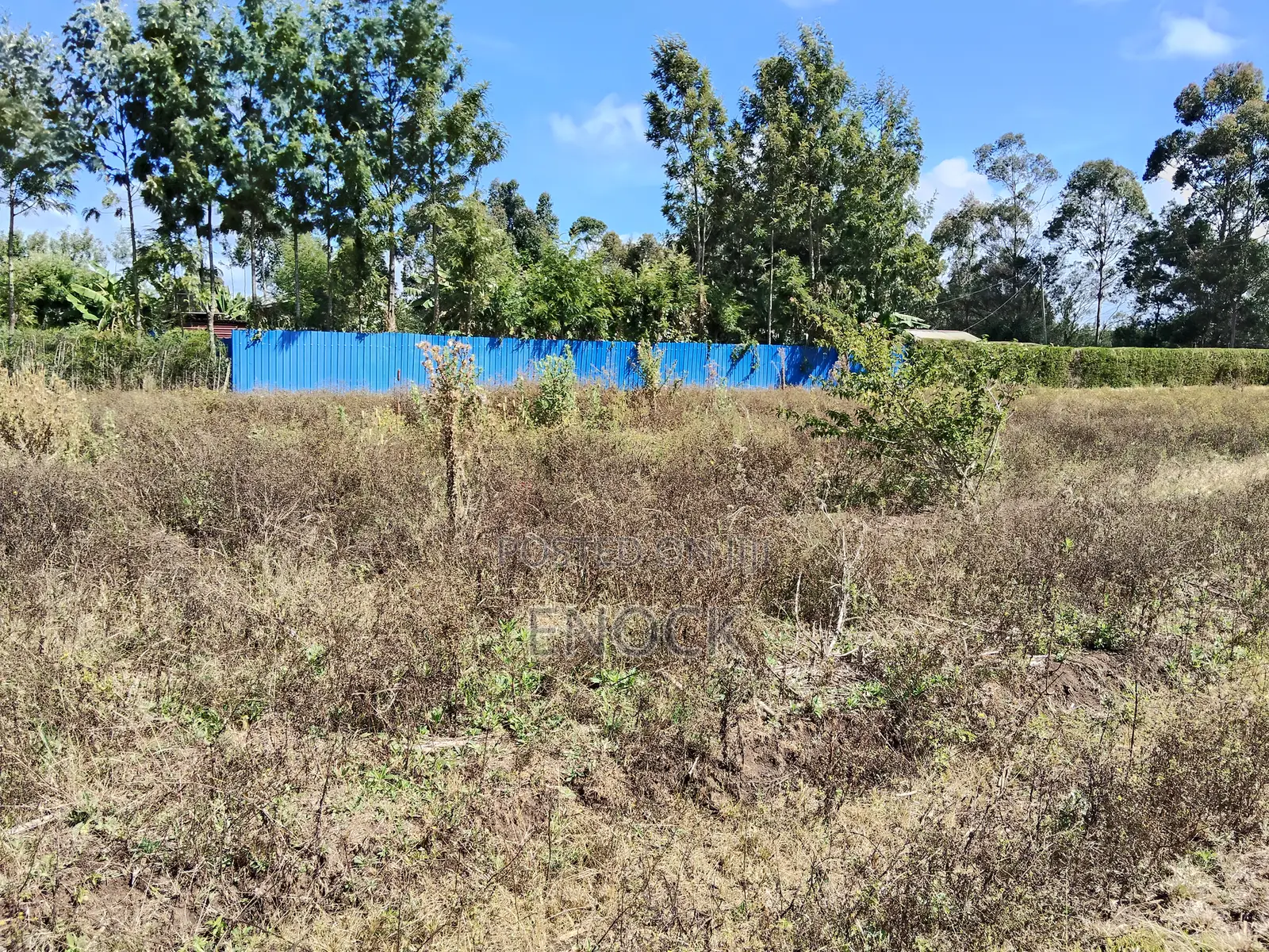 Chepkanga Plots Eldoret Near Centre