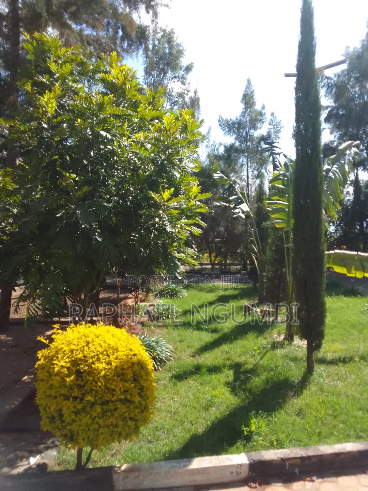 Furnished 5bdrm House in Mua for sale