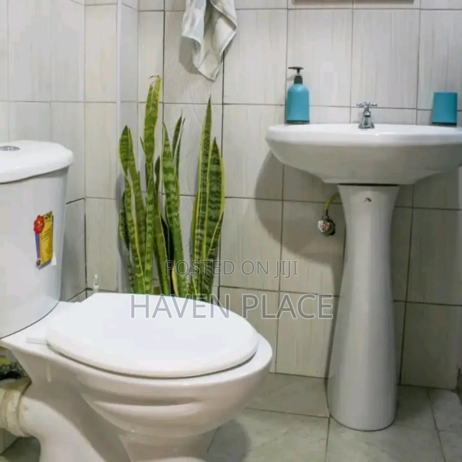 Furnished BNB Studio Apartment Available in Ruaka, Limuru Road