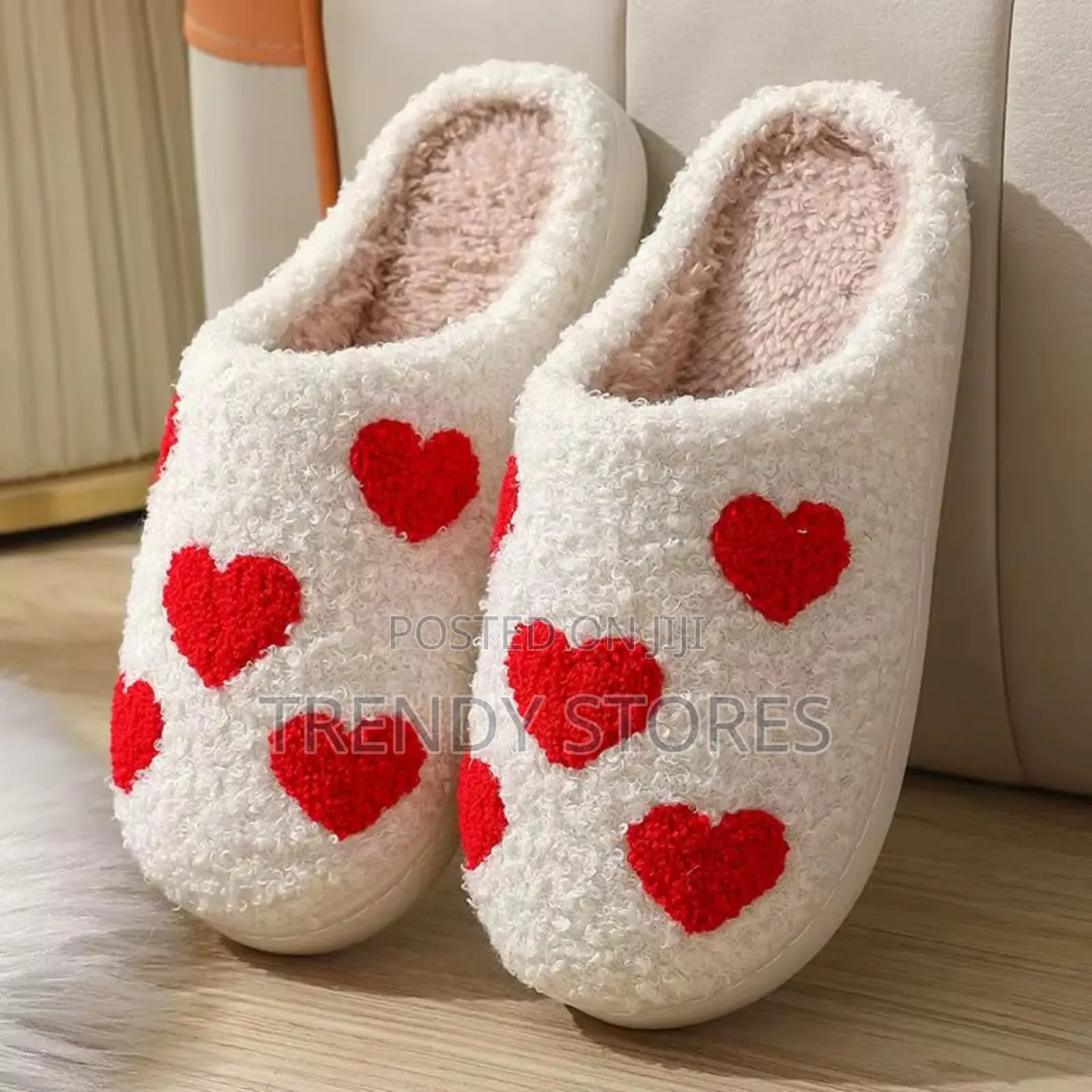 Indoor Slippers