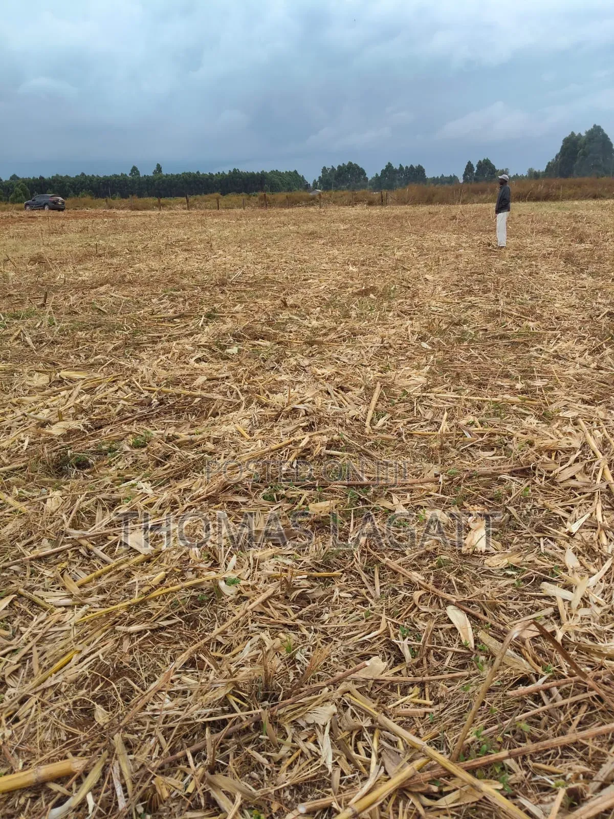 Eldoret Annex Prime 1⁄8 and 1⁄4 Acre Plots on Sale