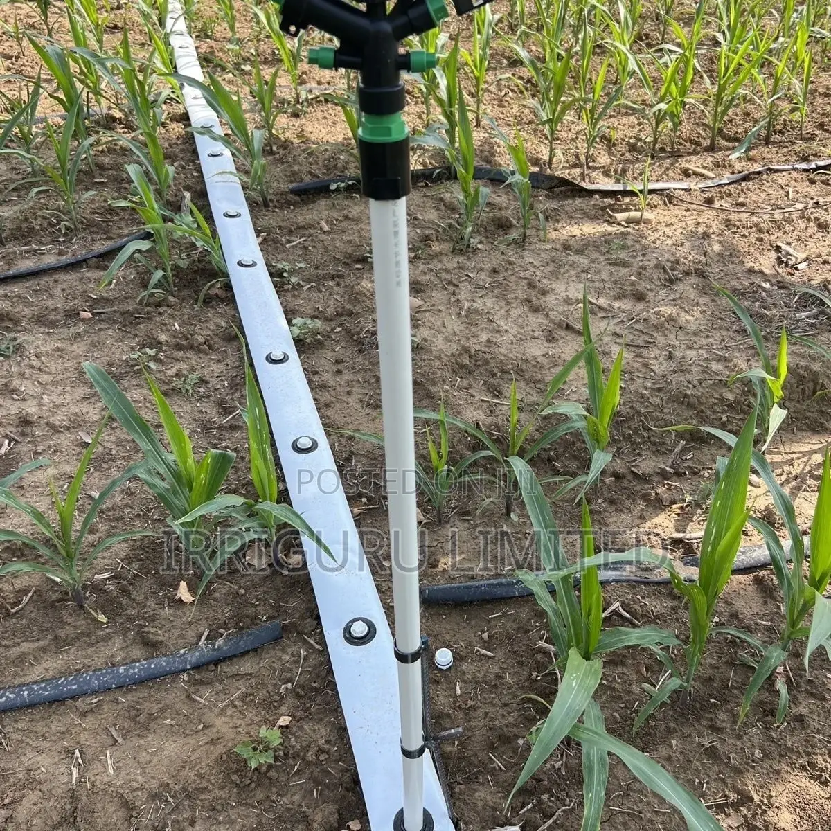 Farm Irrigation Materials, Corn Field Sprinklers.