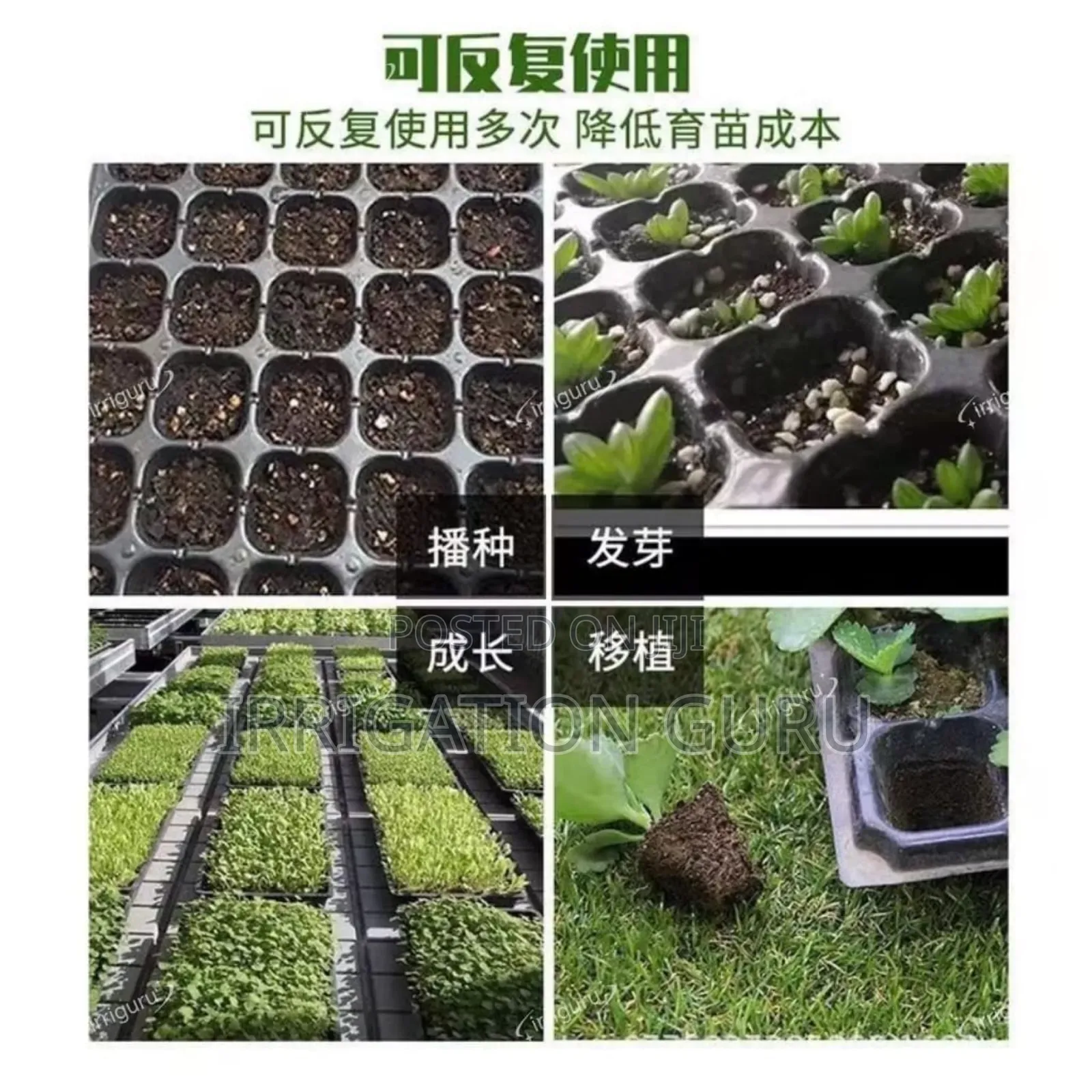 Multi-Color Seedling Trays - Ignite Your Planting Inspiration !