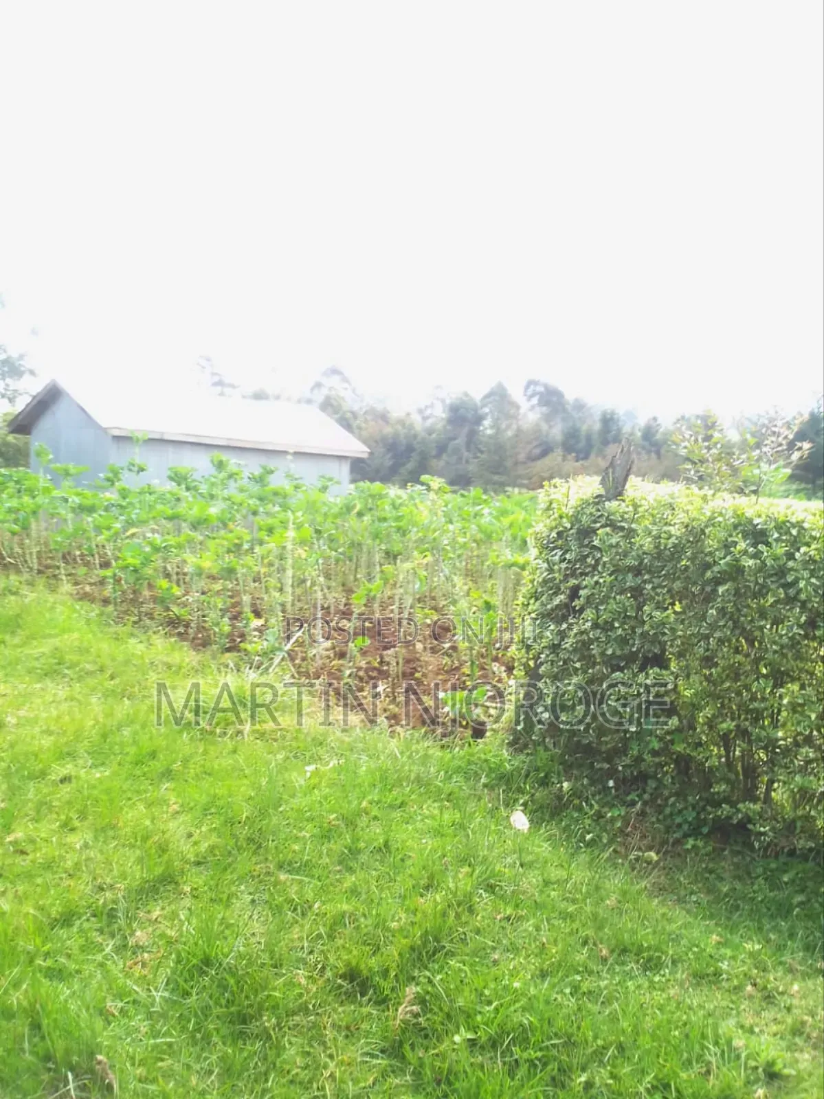 1⁄2 Acre Escarpment