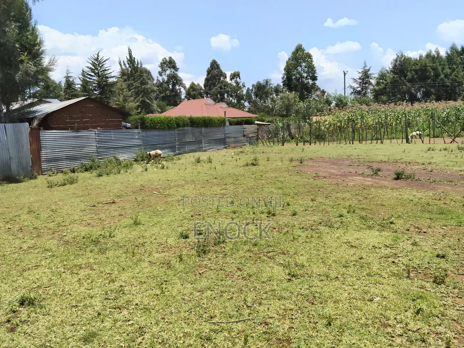Prime 1⁄8acre Plot in Green Valley Maillinne Eldoret