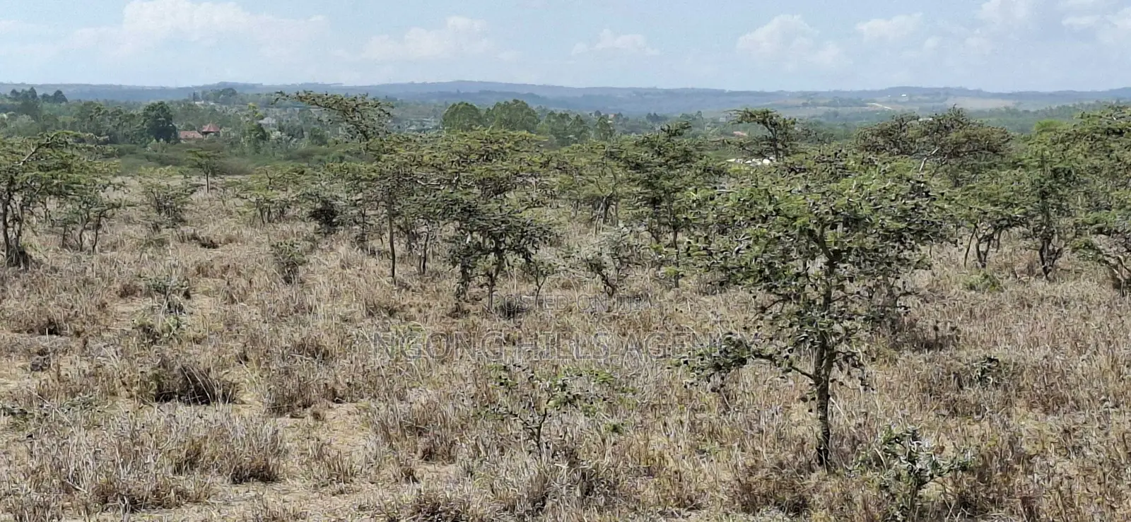 Prime Land for Sale: Koldota, Off Pipeline Road