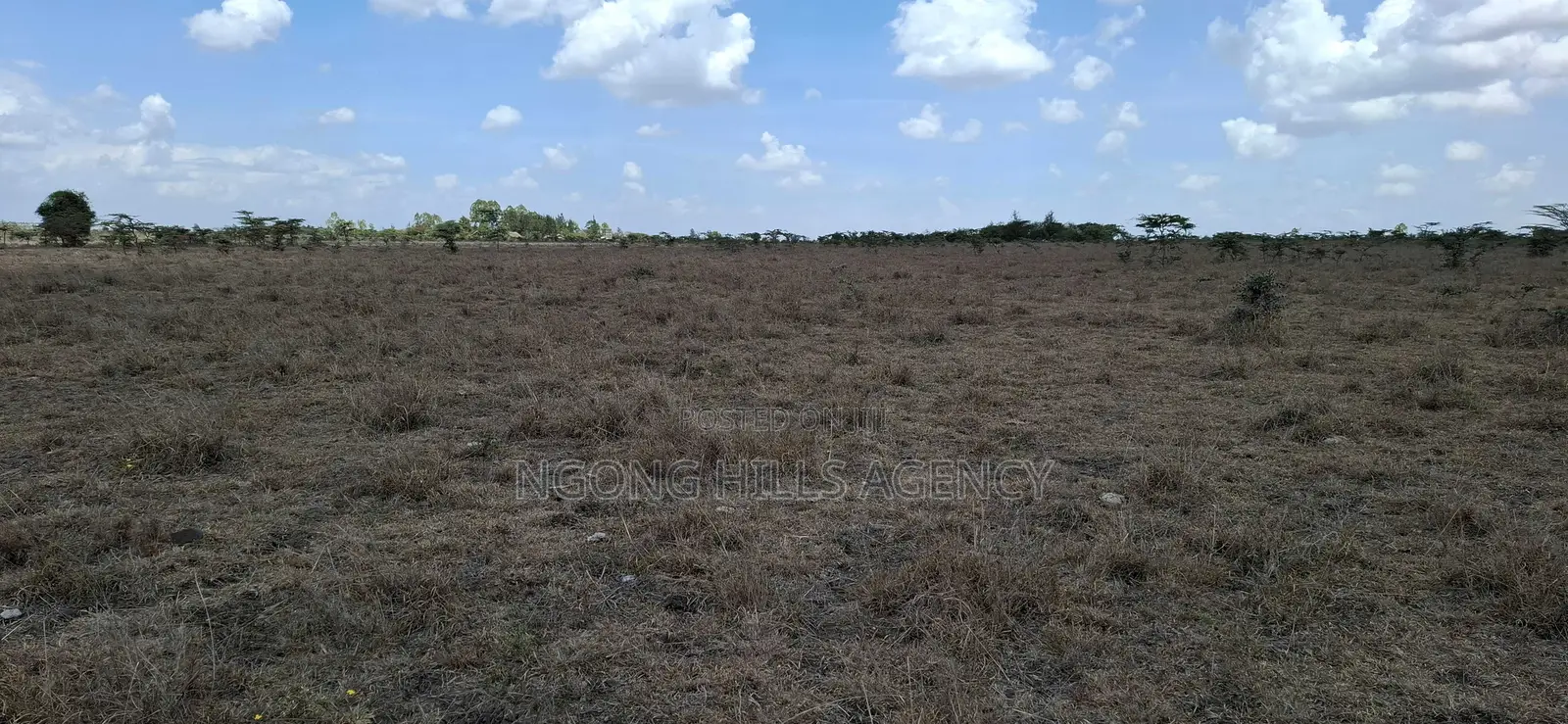 Prime Land for Sale: Koldota, Off Pipeline Road