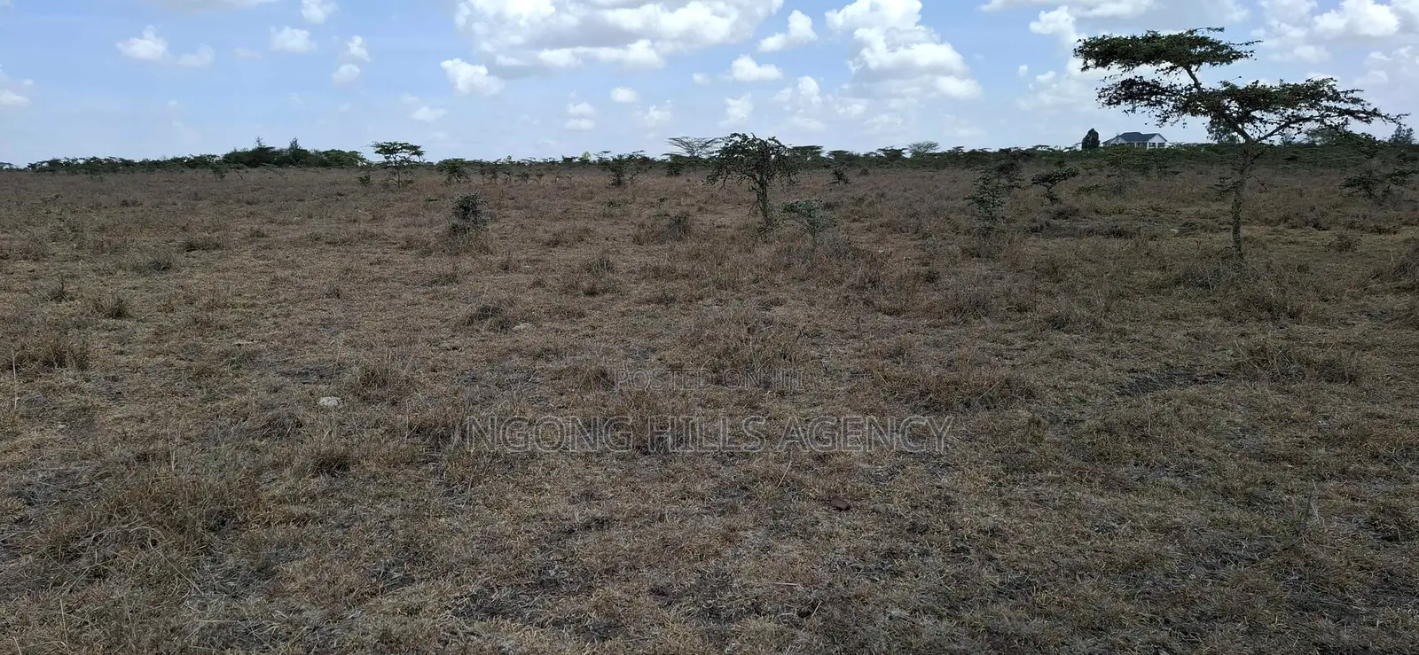 Prime Land for Sale: Koldota, Off Pipeline Road