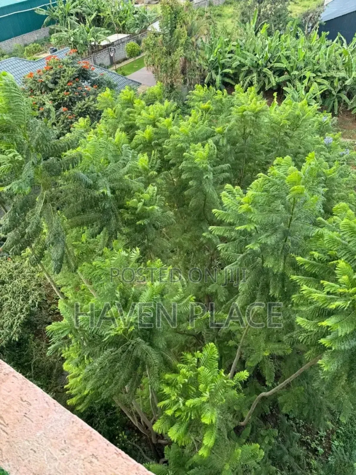 1-Bedroom Apartment Kamakis Eastern Bypass Behind Green Spot