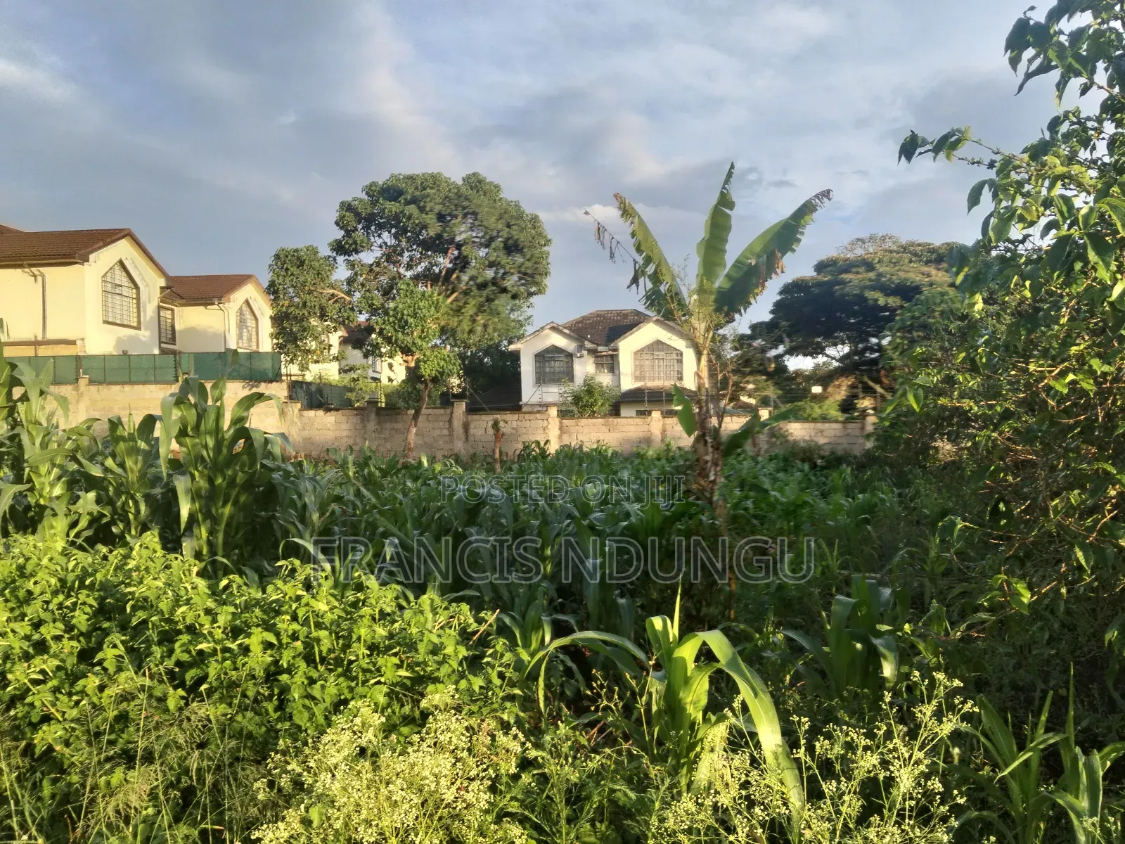 Prime Commercial Plots for Sale Boma Road Kiambu Town.