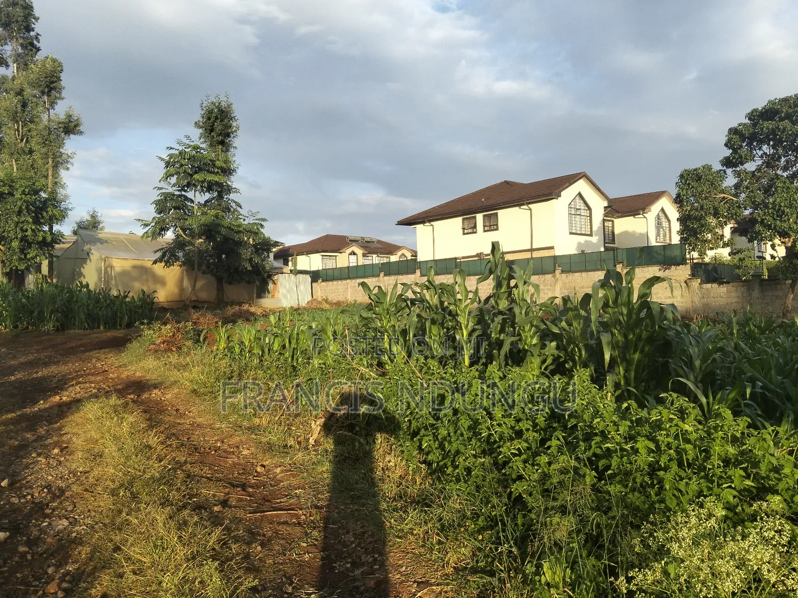 Prime Commercial Plots for Sale Boma Road Kiambu Town.