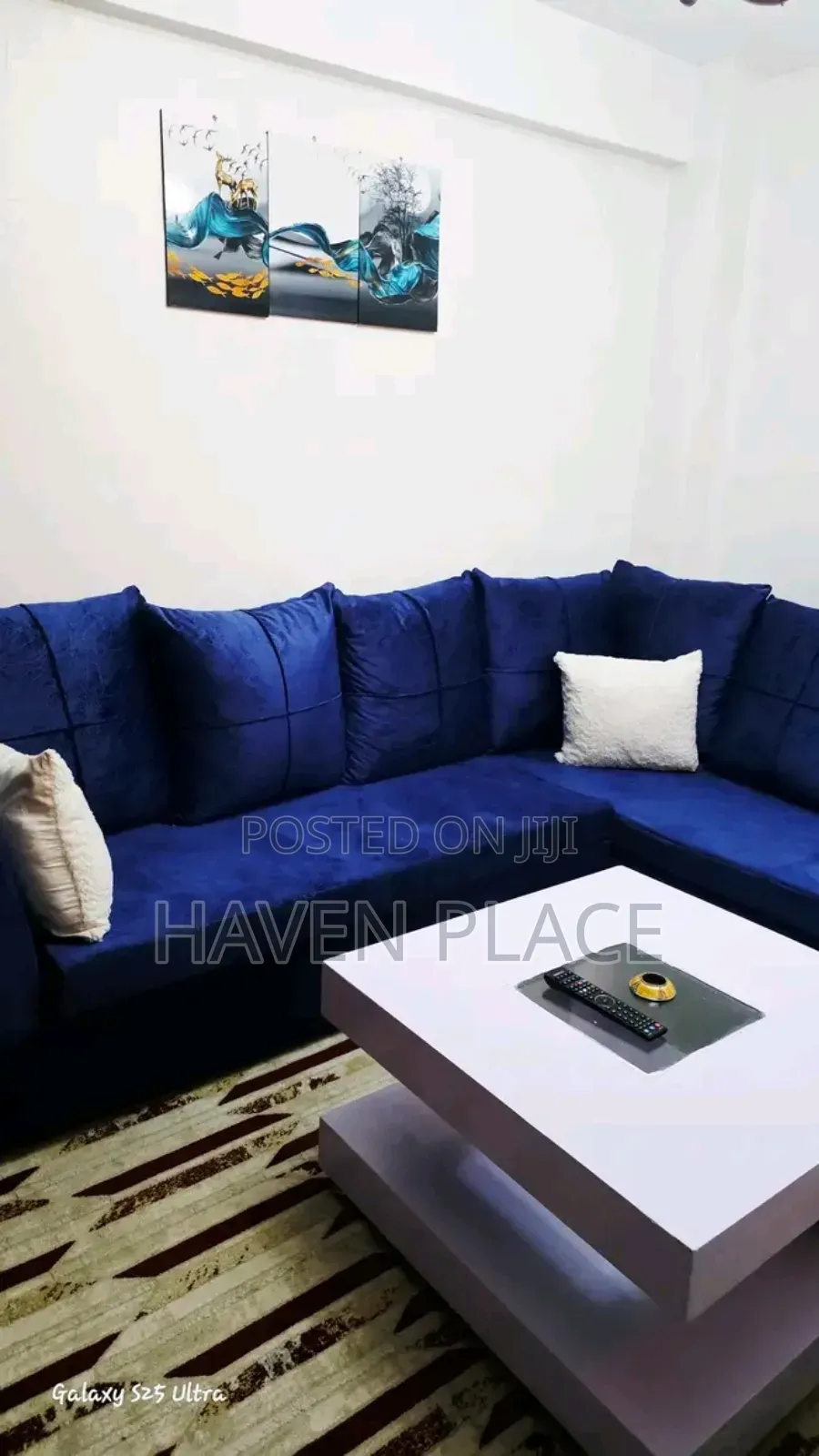 Fully Furnished 1 Bedroom Apartment at TRM Drive,Thika Road