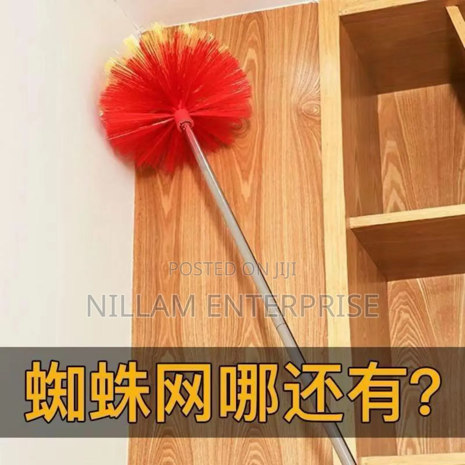 Extendable Cobweb Broom