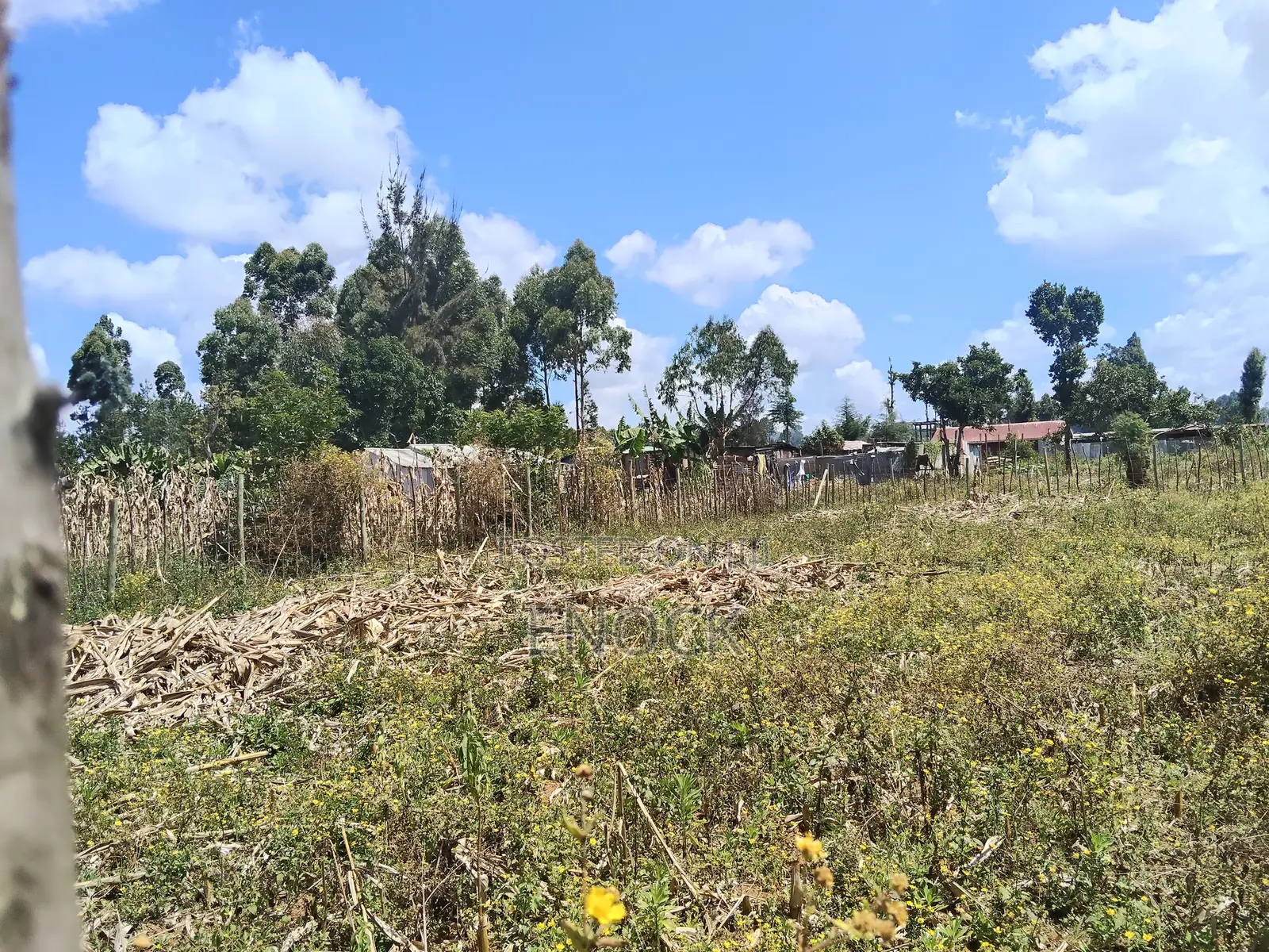 1⁄4 Acre Plot in Outspan Eldoret