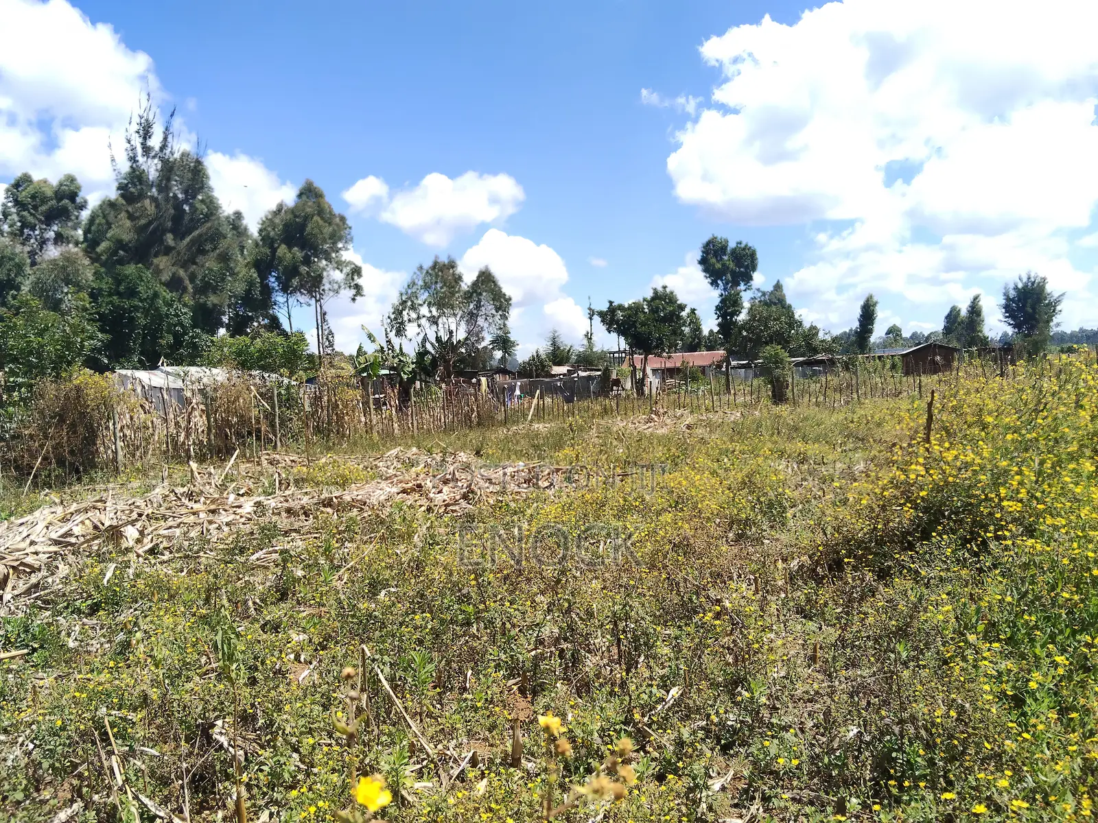 1⁄4 Acre Plot in Outspan Eldoret