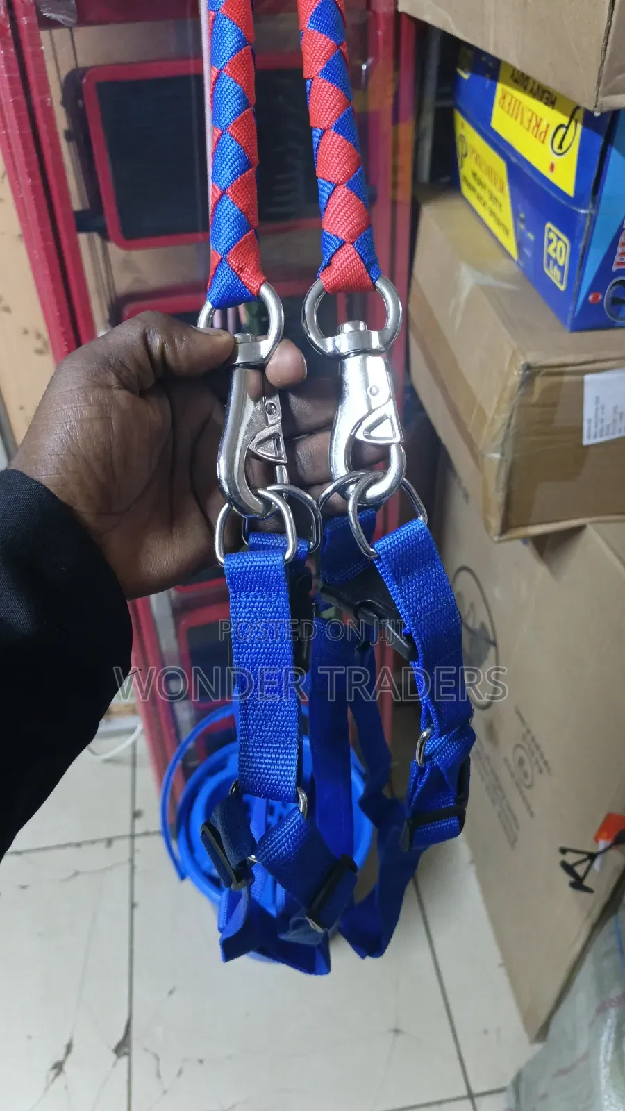 Dog Leash for a Big Dog