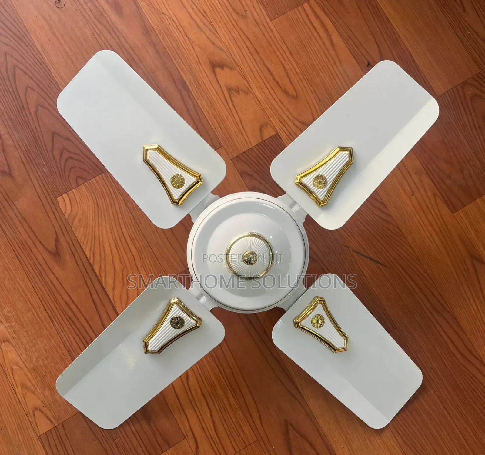Roch 24 Inches Ceiling Fan