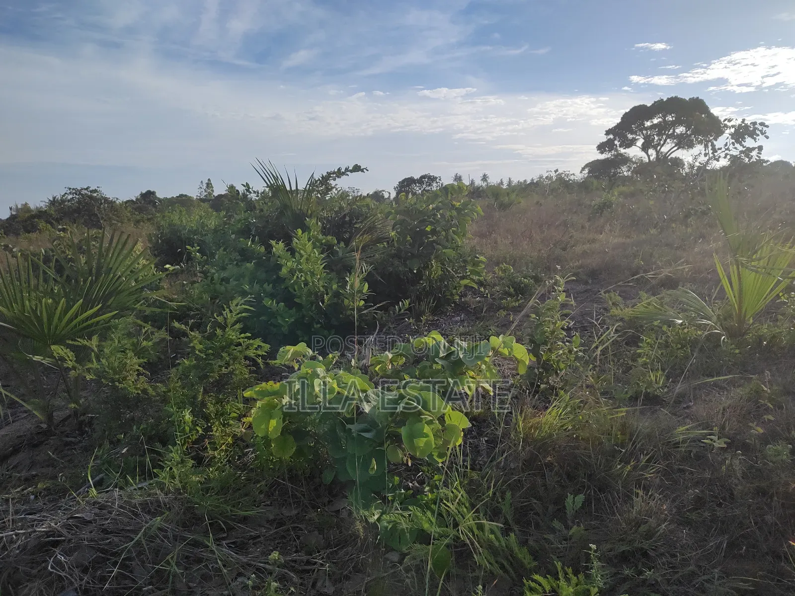 Prime Plot With Breathtaking Views