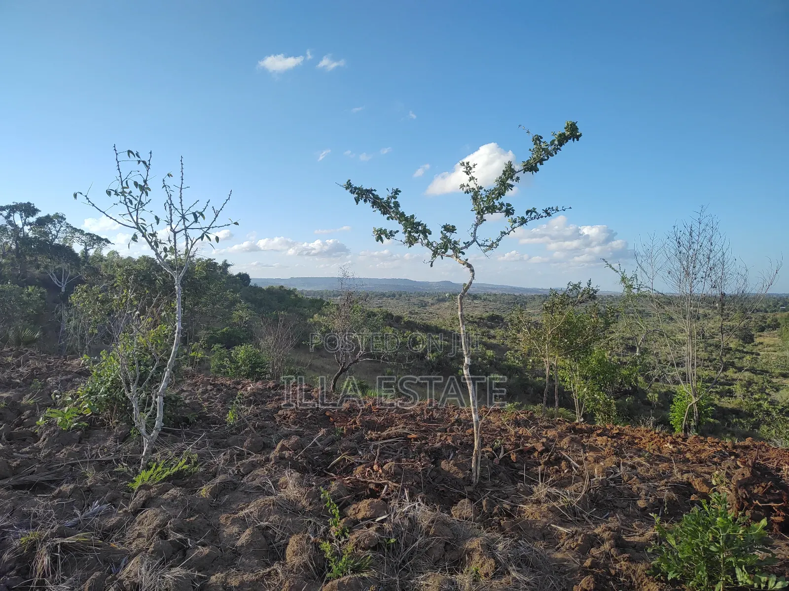 Prime Plot With Breathtaking Views