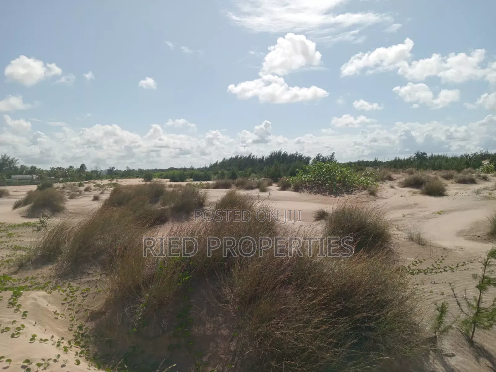 1 Acre Beach Plot in Malindi, Kiifi for Sale