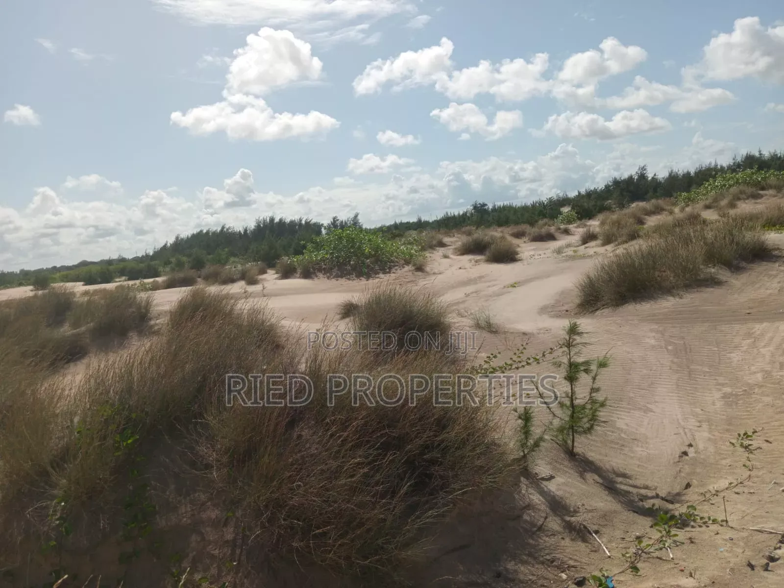 1 Acre Beach Plot in Malindi, Kiifi for Sale