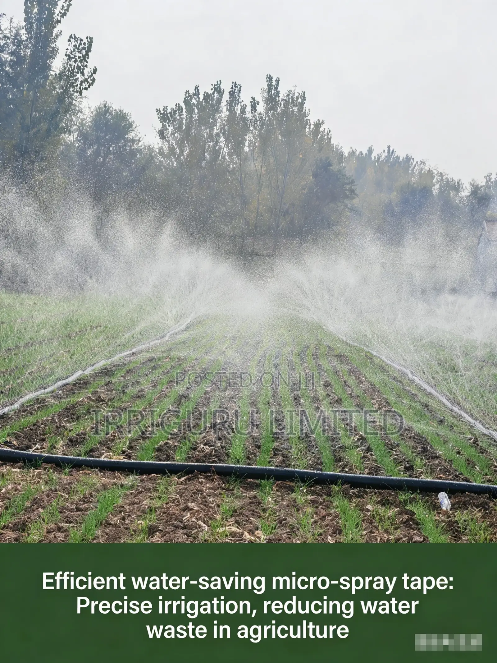 Complements Drip Irrigation: Ideal for a Wider Range of Crops.