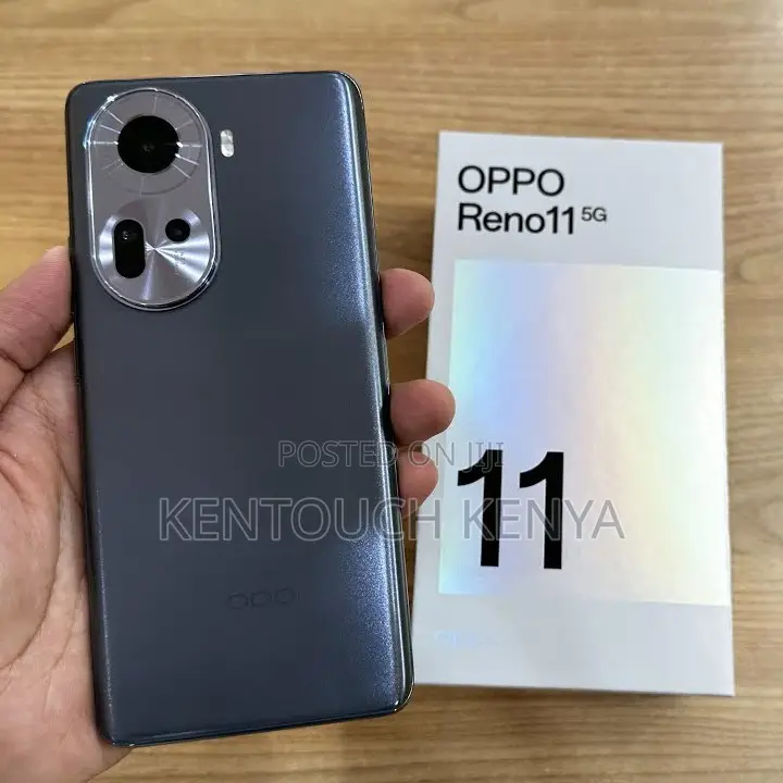 Oppo Reno11 5G 256 GB Gray