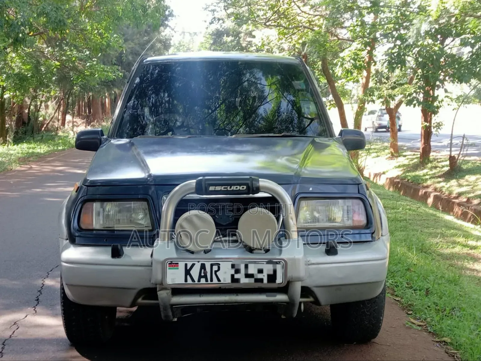 Suzuki Escudo 2000 Blue