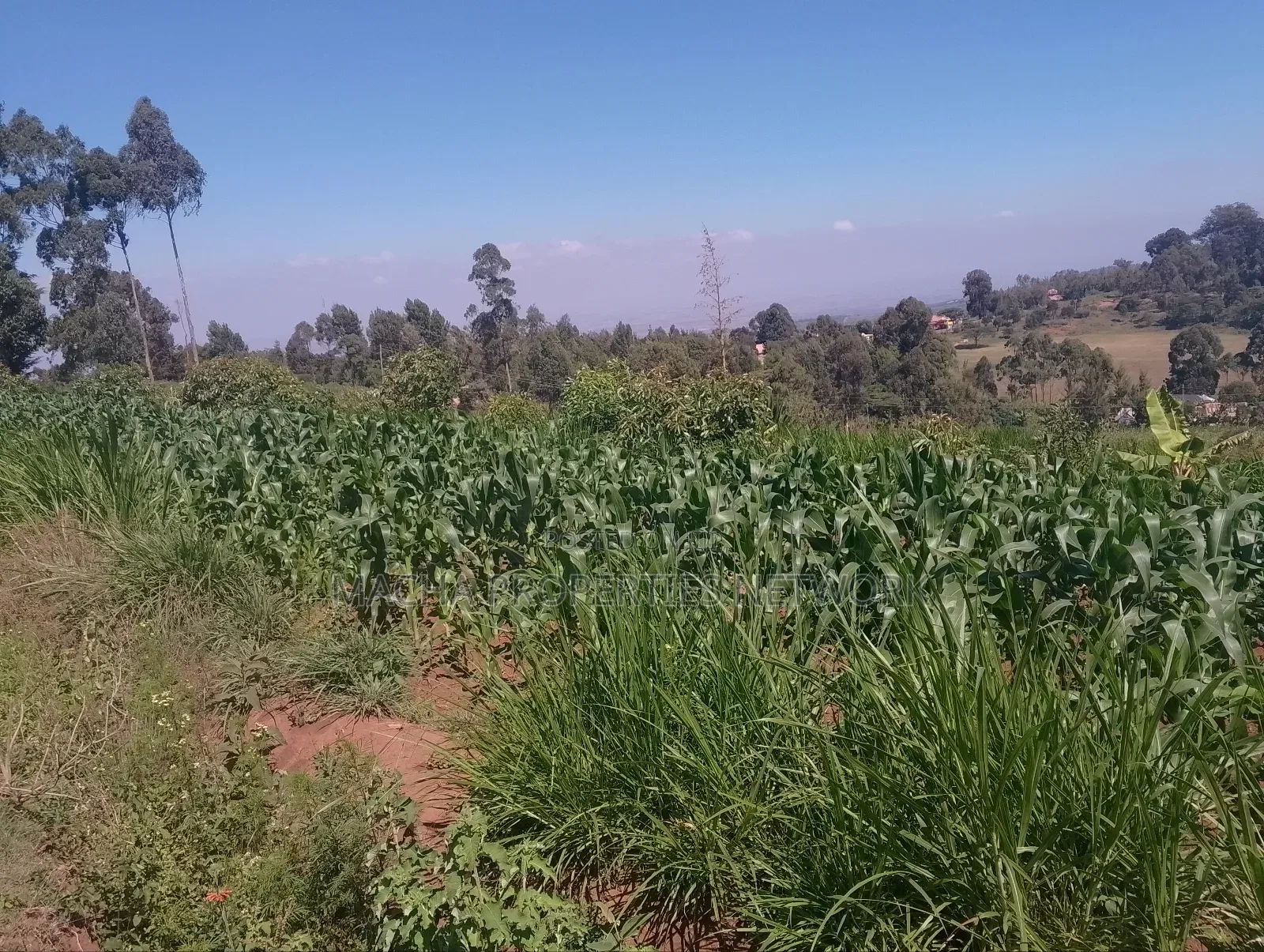 Mua Hills Near Rador Station 3 Plots for Sale