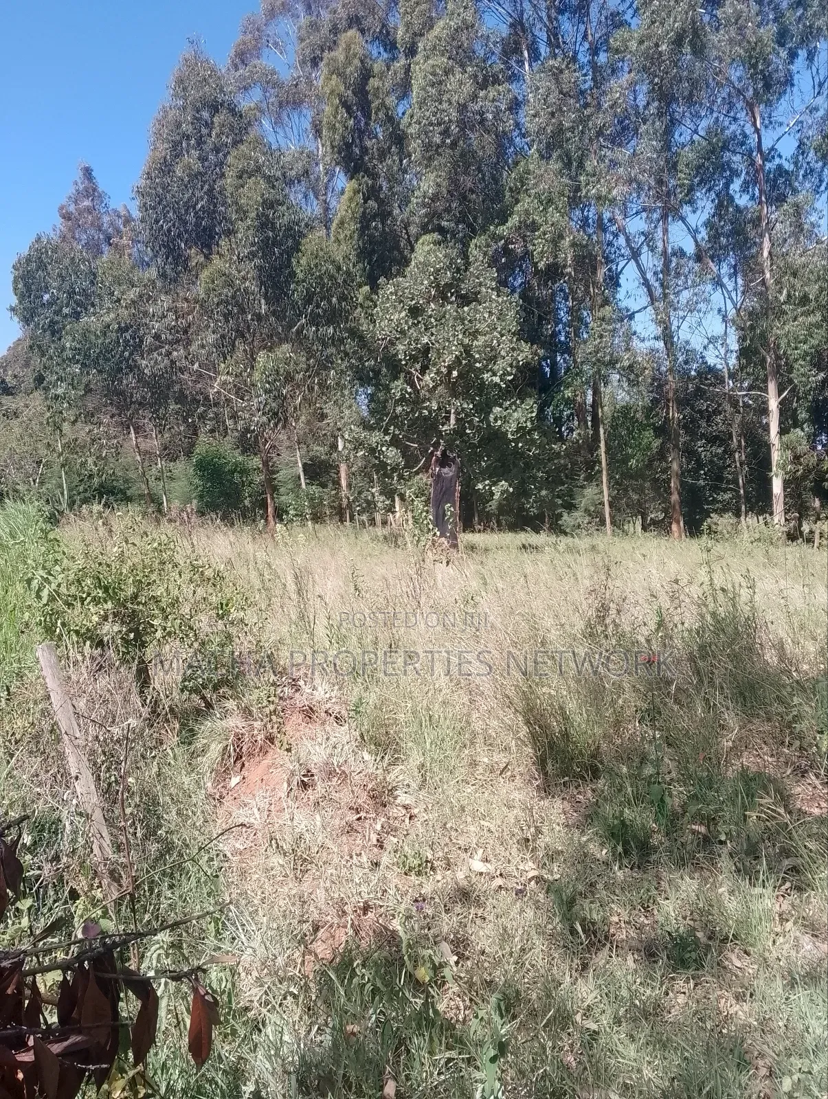 Mua Hills Near Rador Station 3 Plots for Sale