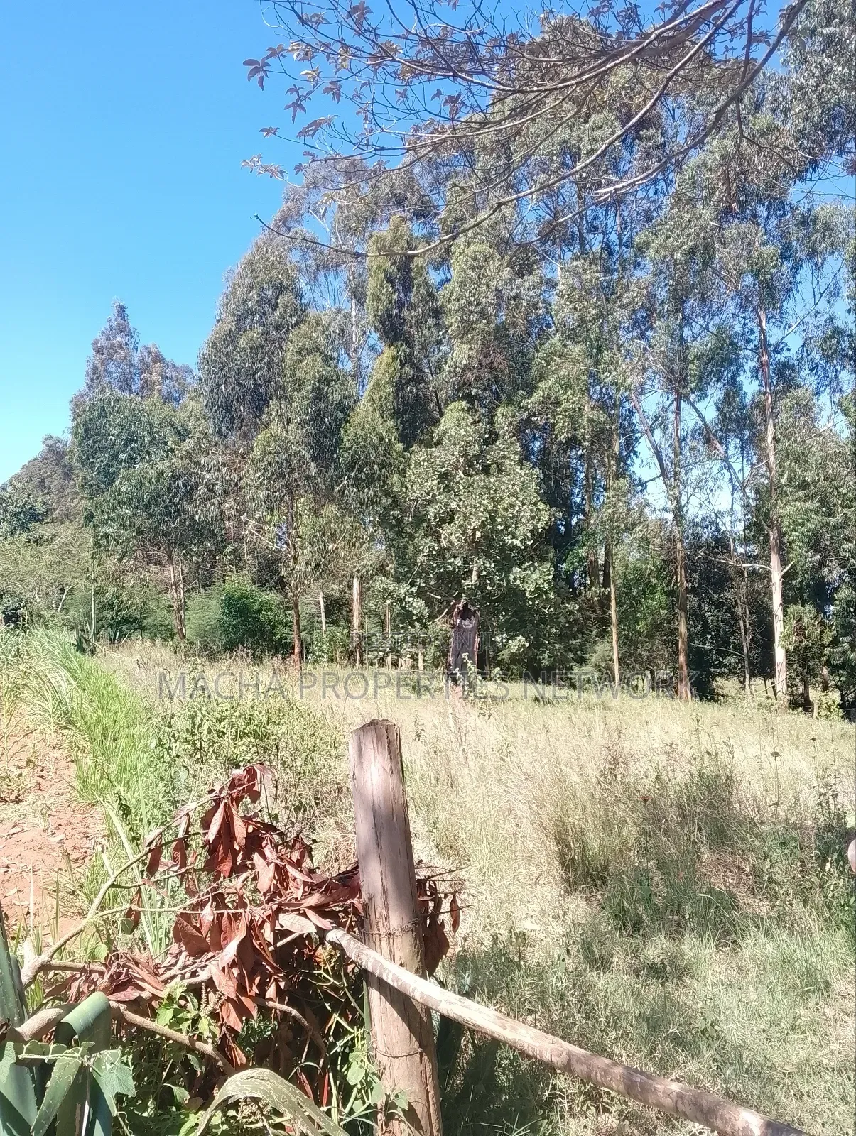 Mua Hills Near Rador Station 3 Plots for Sale