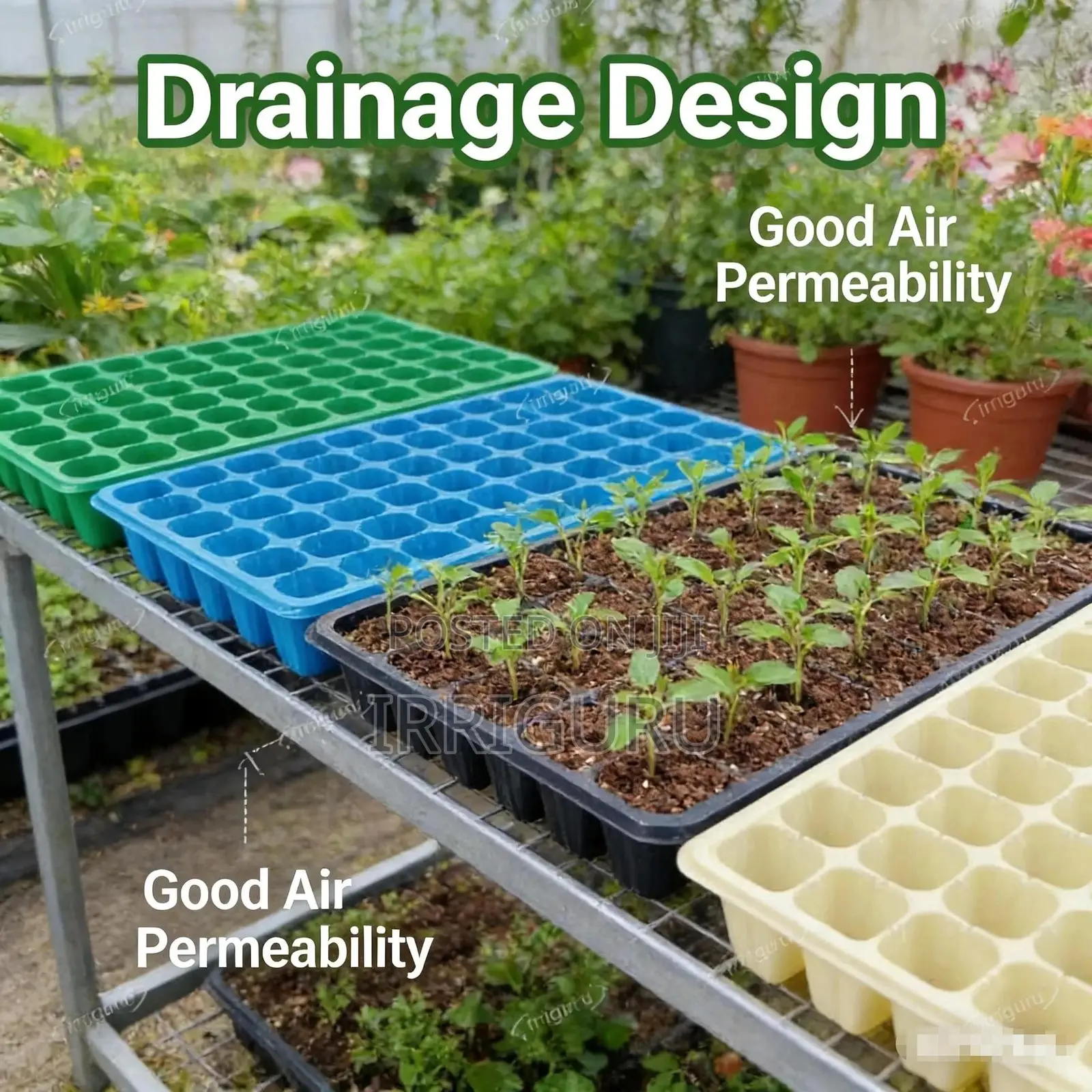 Aesthetic Seedling Tray, Keeps Your Growing Process Neat And Tidy