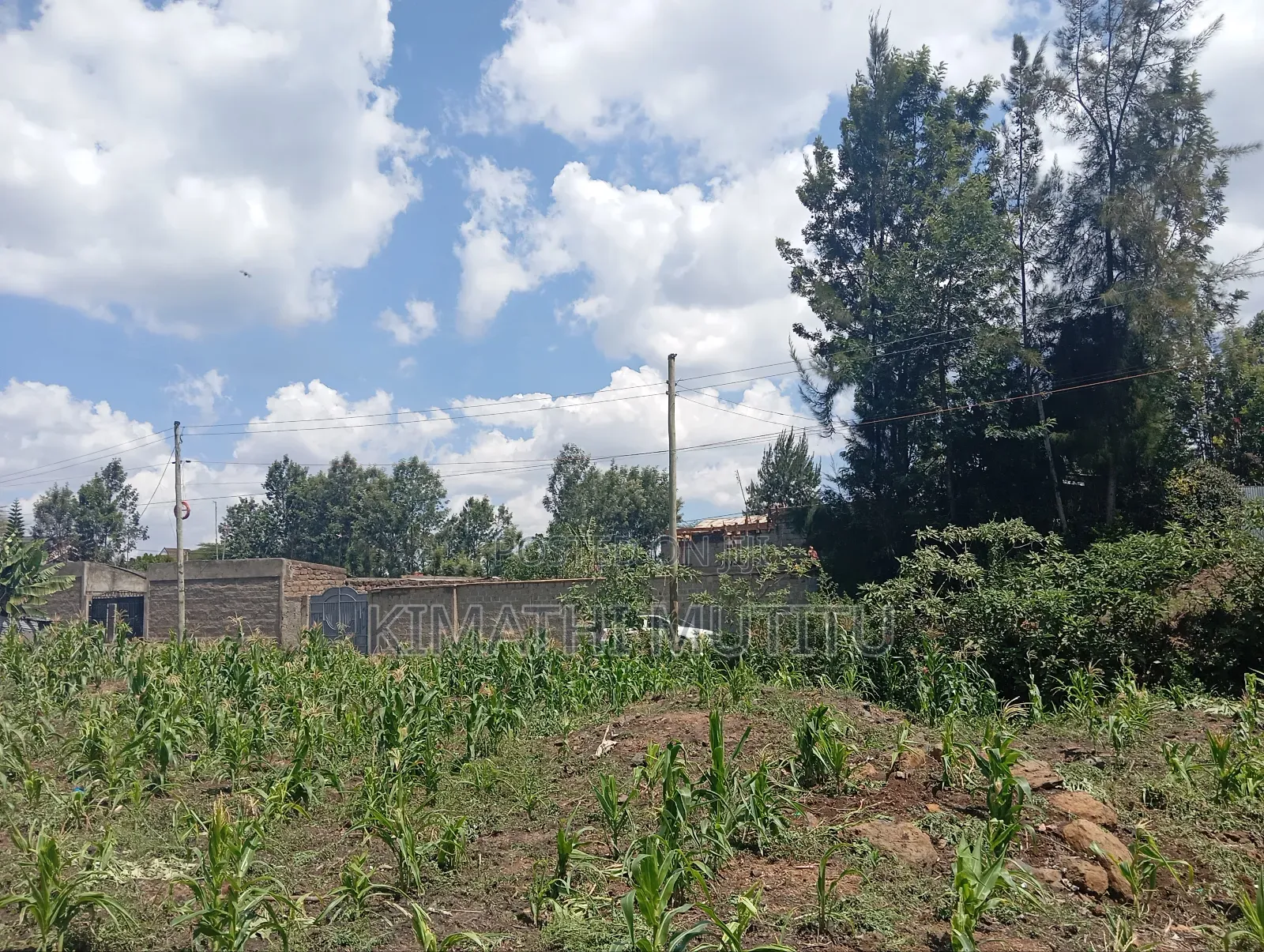 A Prime Residential 1/4 Acre in a Gated Community.