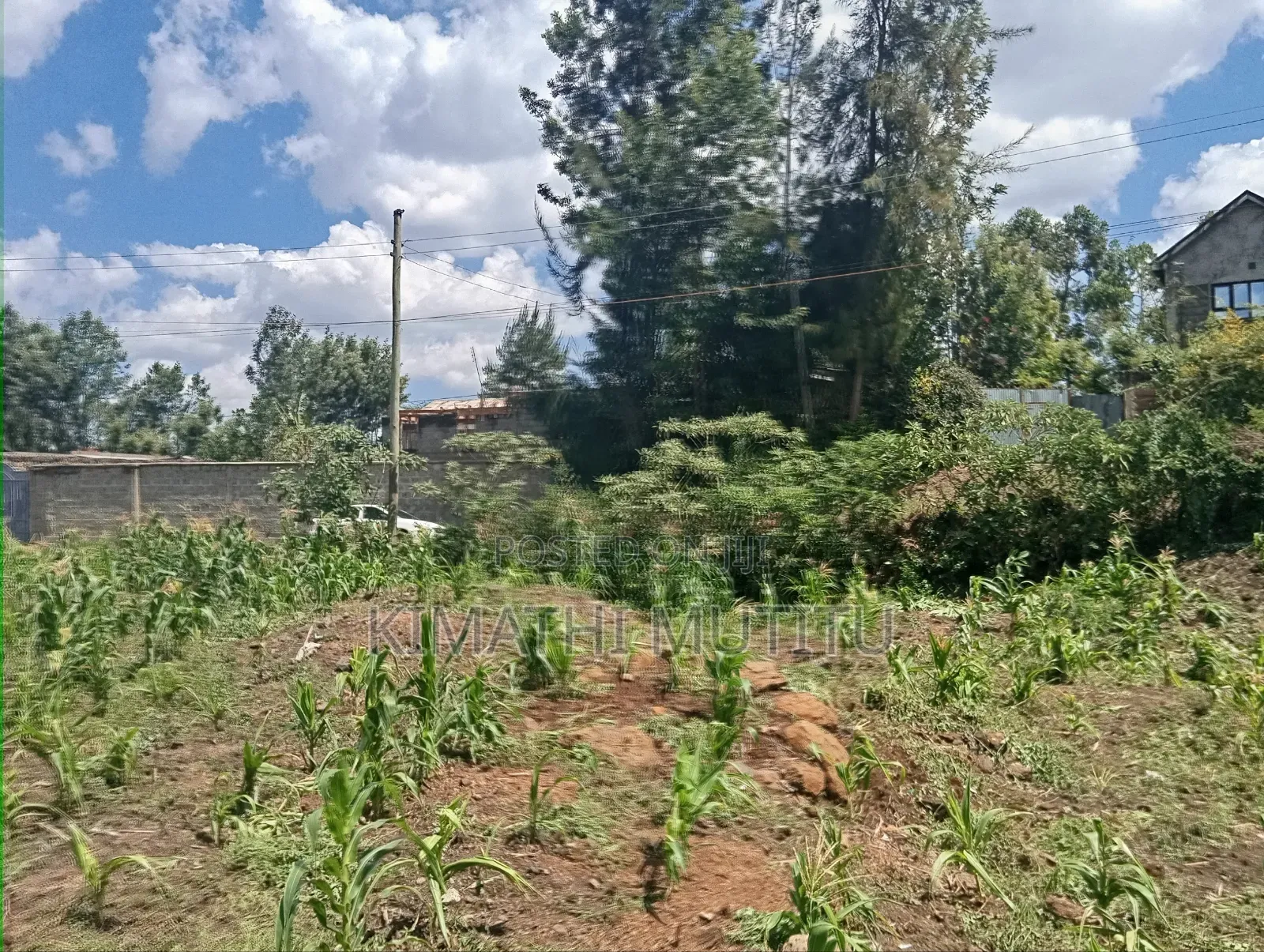 A Prime Residential 1/4 Acre in a Gated Community.