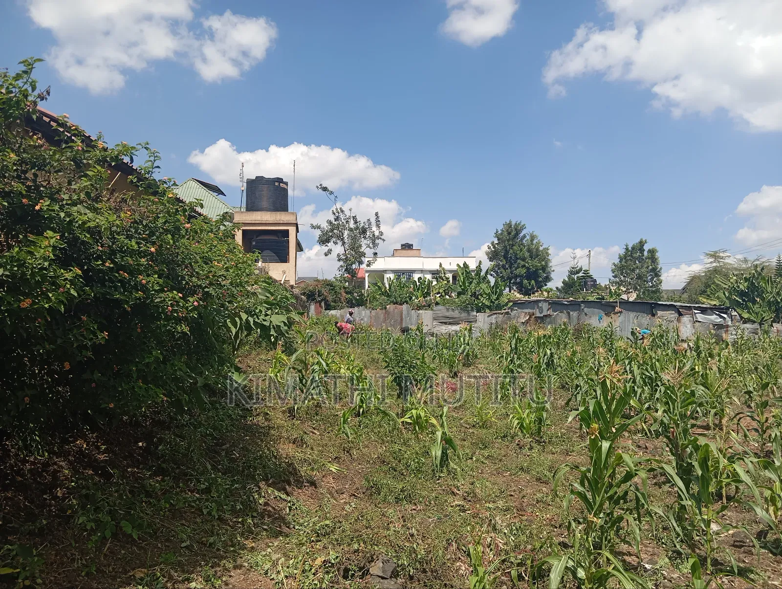 A Prime Residential 1/4 Acre in a Gated Community.