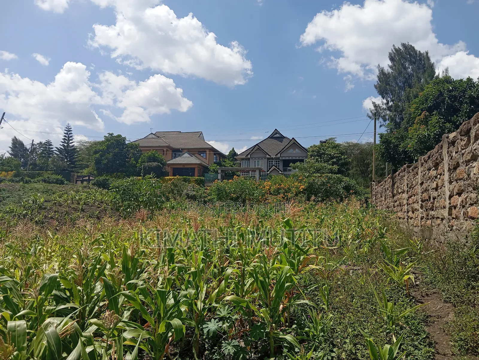 A Prime Residential 1/4 Acre in a Gated Community.