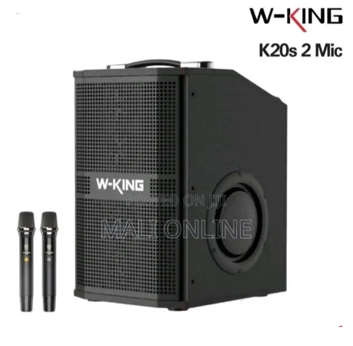 180w W-King K20s Bluetooth Karaoke Speaker With 2 Wireless Mics